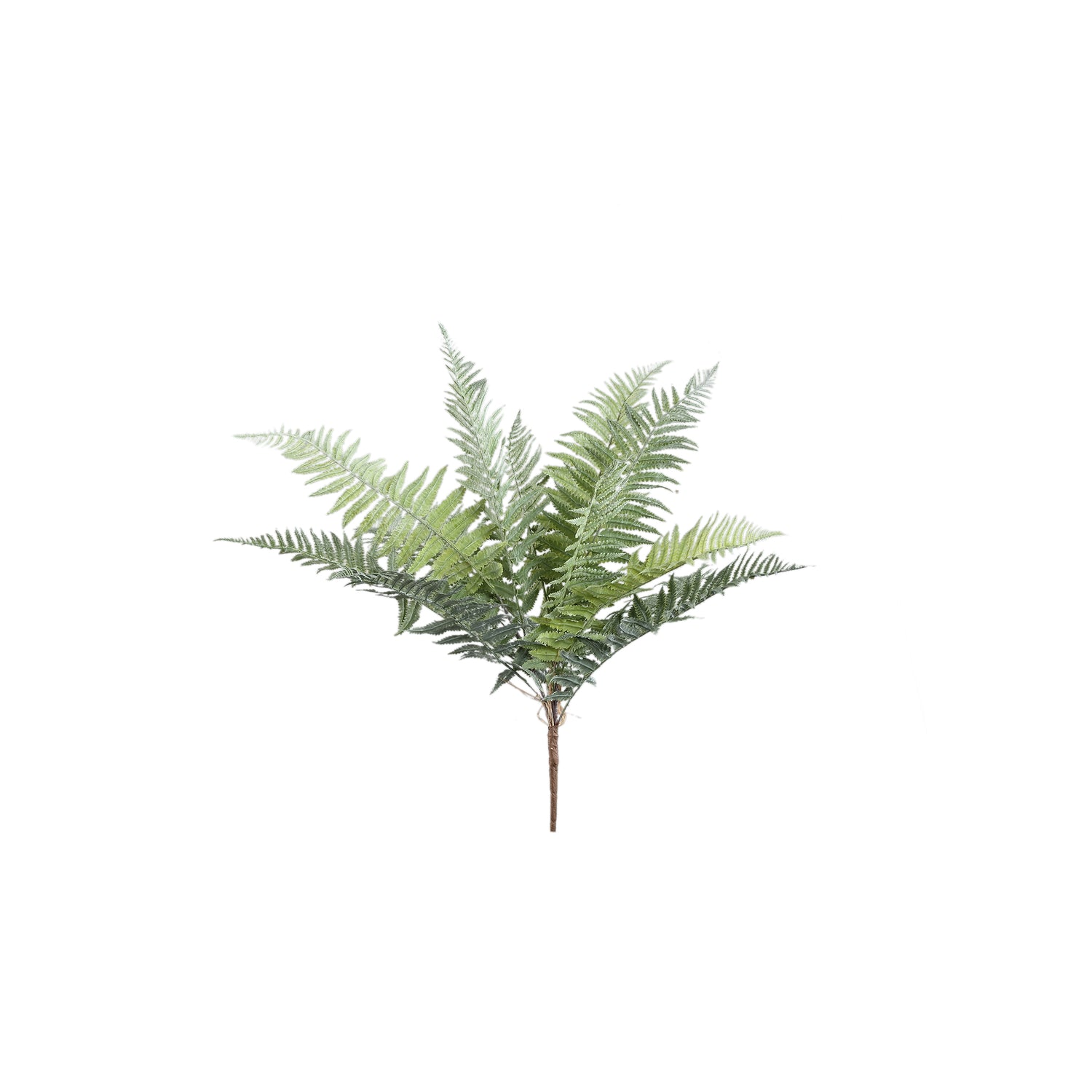 Mos Groen Varen Plant Leaves Plant Klein - Set van 12 8x70x10 cm