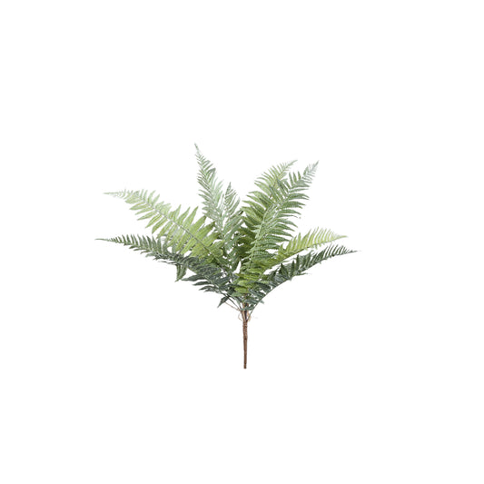 Mos Groen Varen Plant Leaves Plant Klein - Set van 12 8x70x10 cm