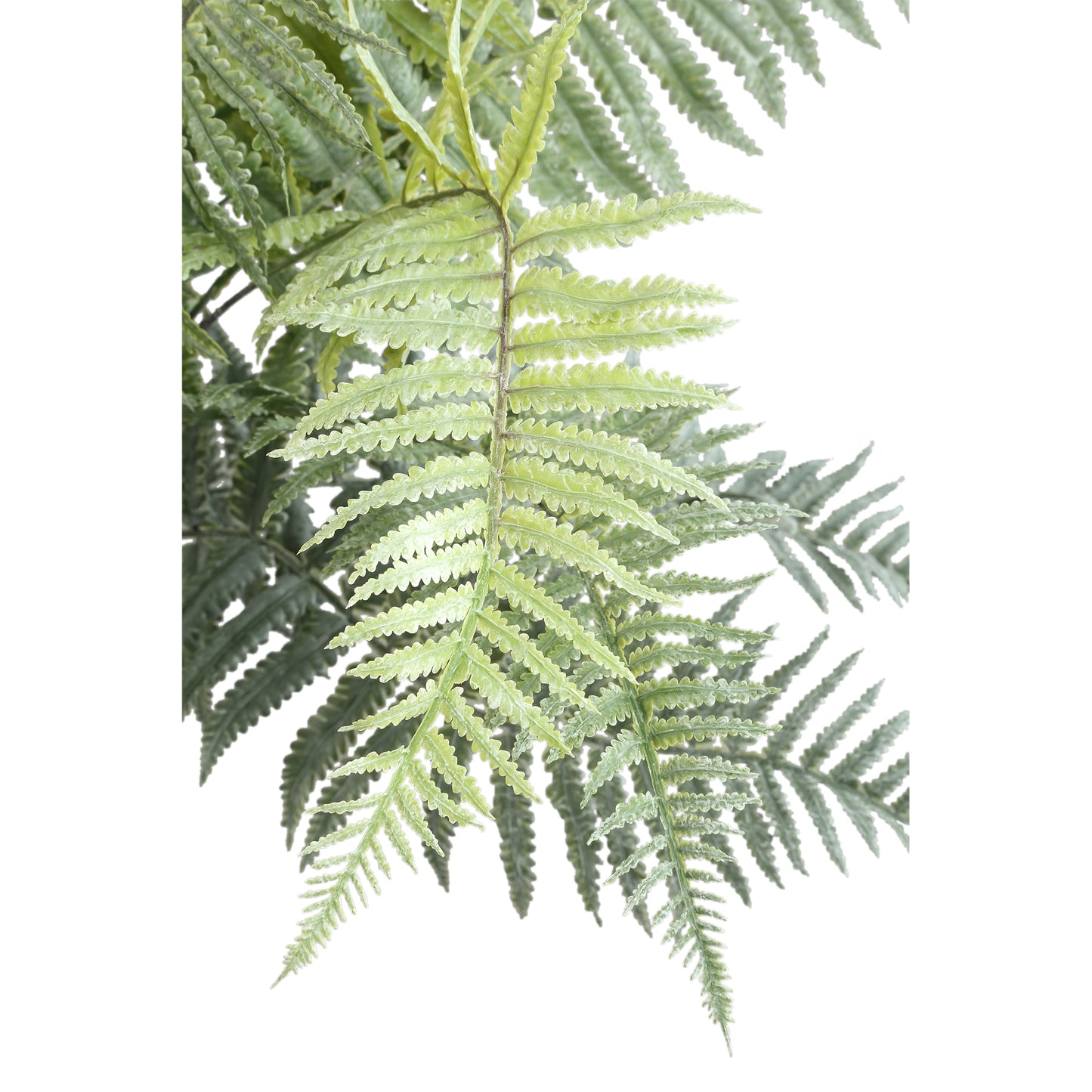 Mos Groen Varen Struik Groot L - Leaves Plant Serie - Set van 6 10x78x15 cm
