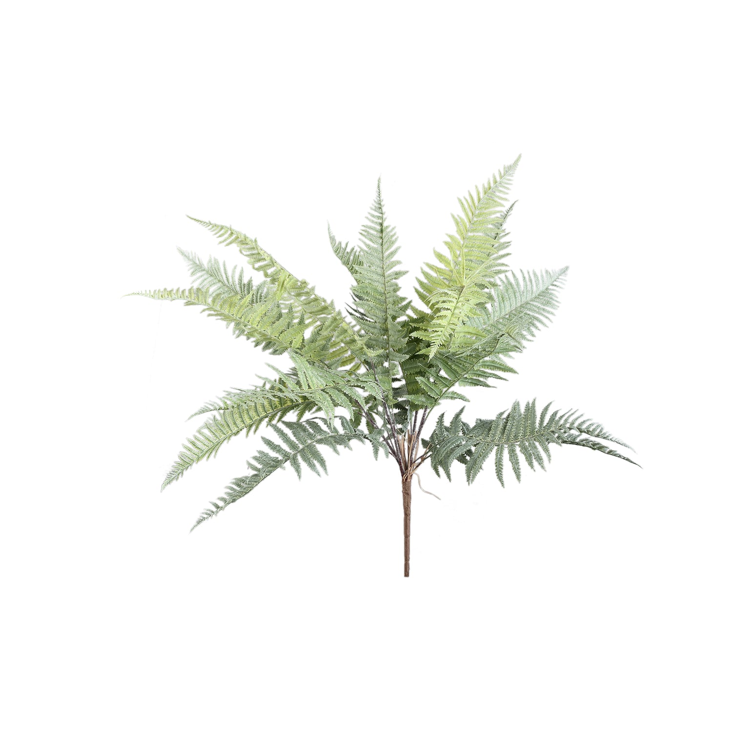 Mos Groen Varen Struik Groot L - Leaves Plant Serie - Set van 6 10x78x15 cm