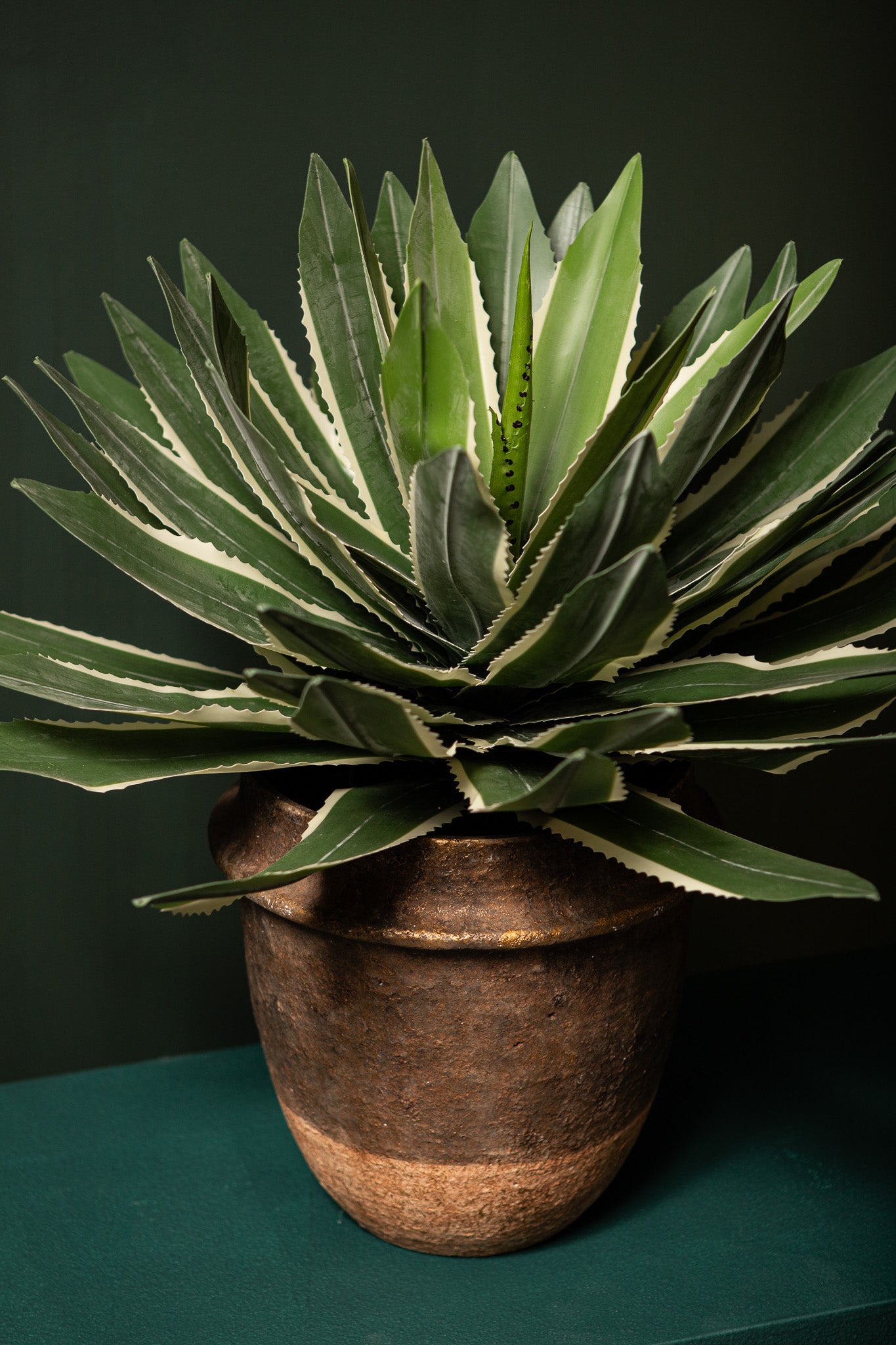 Succulent Plant Groene Agave Pick 50x70x70 cm
