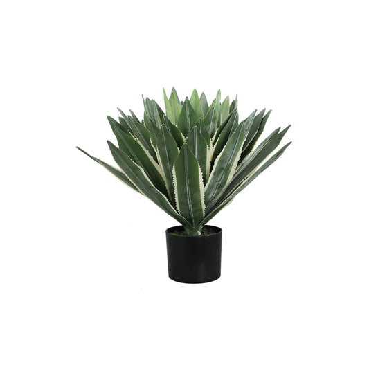 Succulent Plant Groene Agave Pick 50x70x70 cm