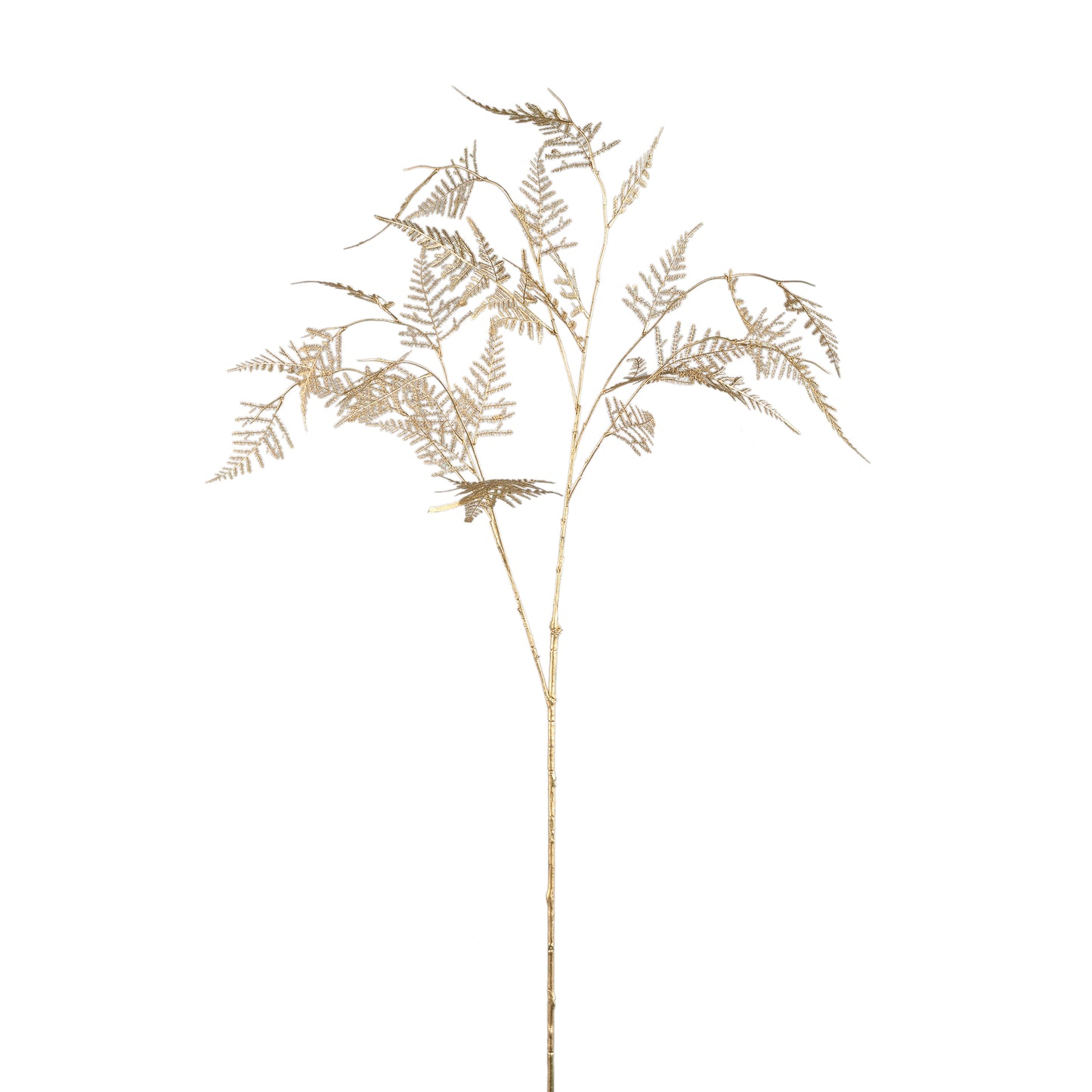 Fern Plant Gouden Asparagus Spray - Set van 12 114x45x23 cm