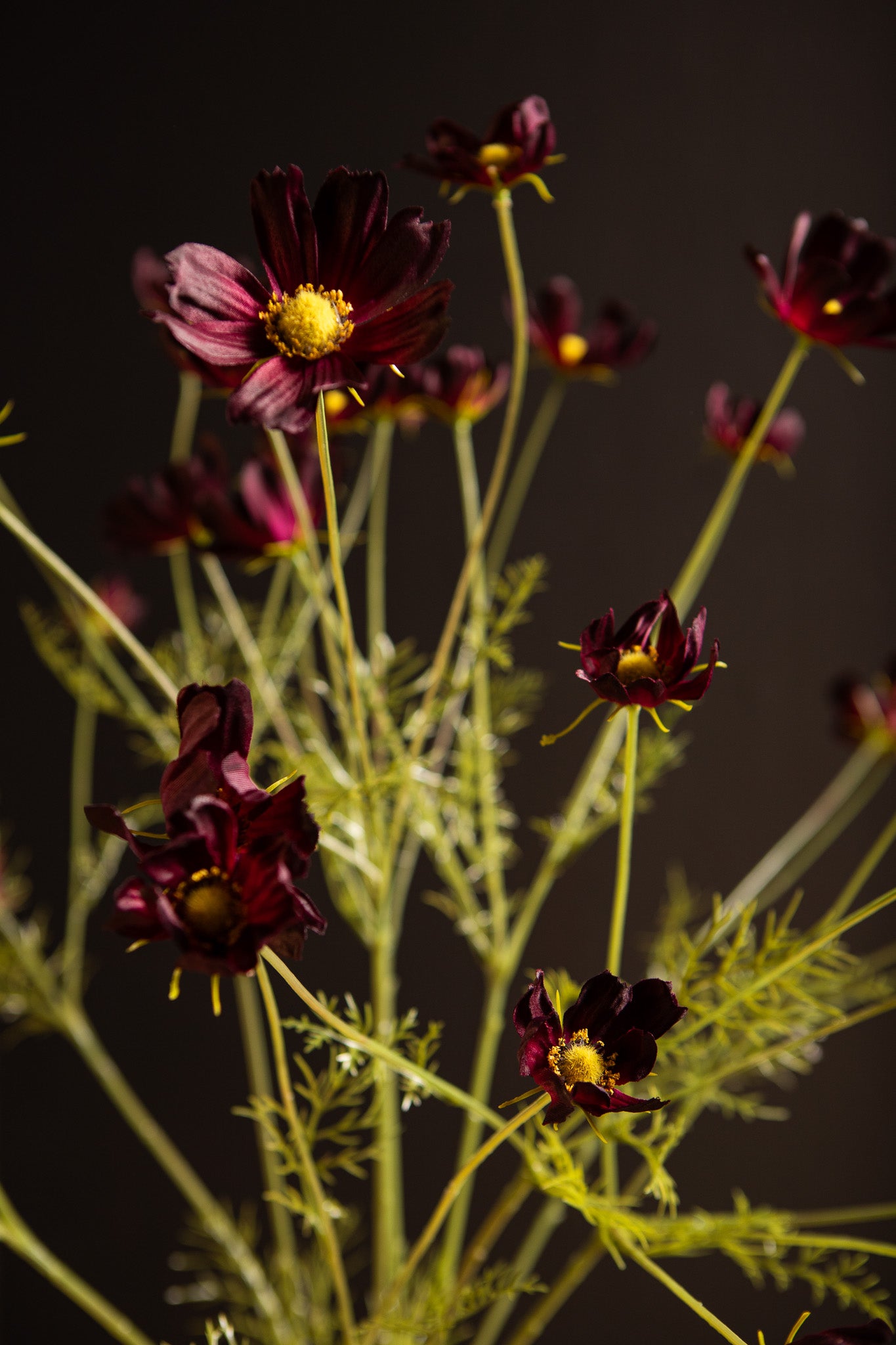 Garden Flower Bourgondische Cosmos Spray - Set van 12 102x56x34 cm