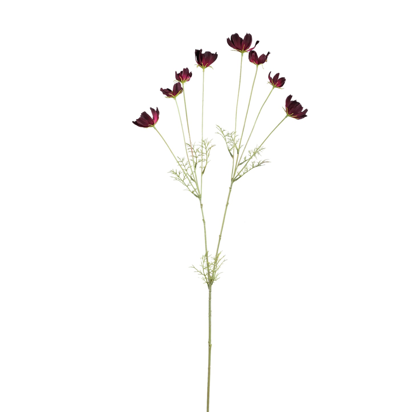 Garden Flower Bourgondische Cosmos Spray - Set van 12 102x56x34 cm