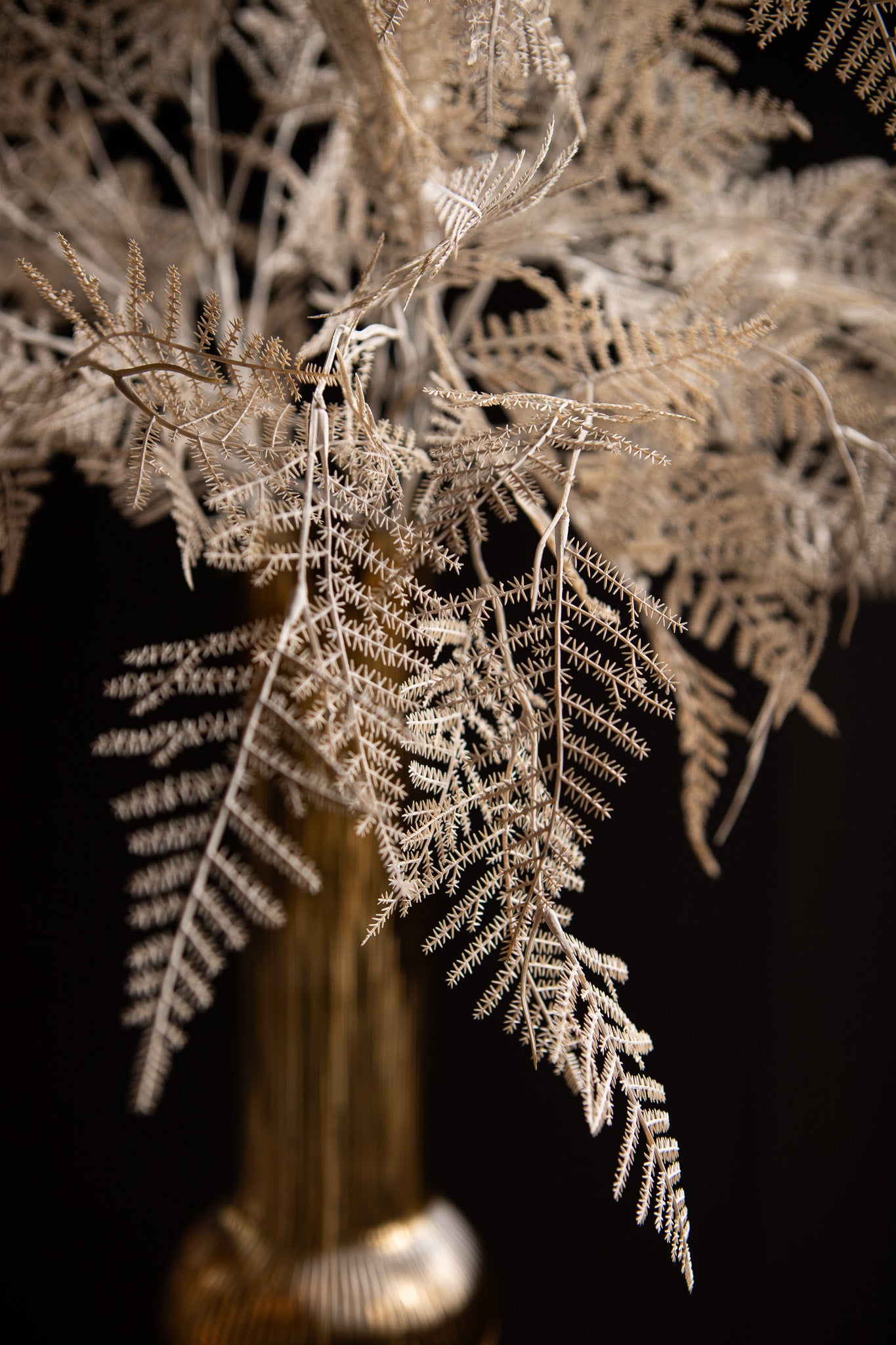 Fern Plant Roomwit Asperge Fern Spray - Set van 12 89x45x23 cm