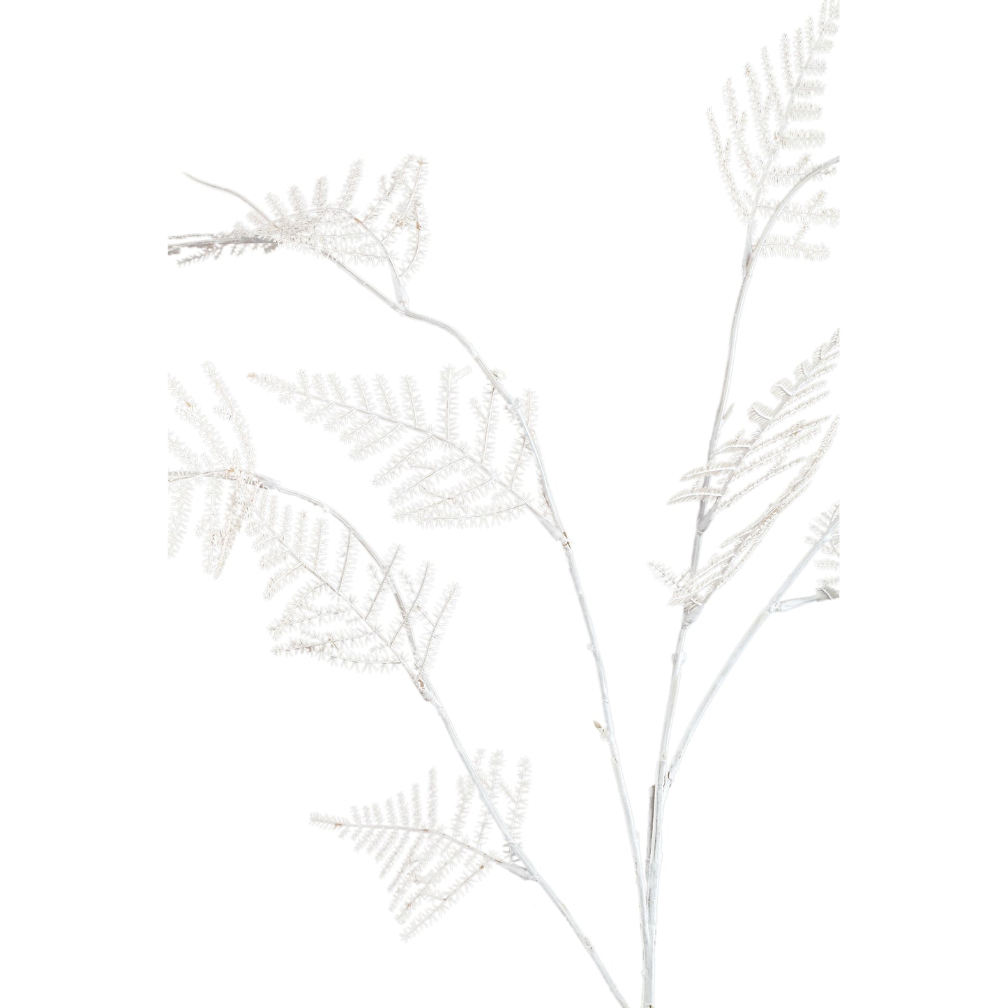 Fern Plant Roomwit Asperge Fern Spray - Set van 12 89x45x23 cm