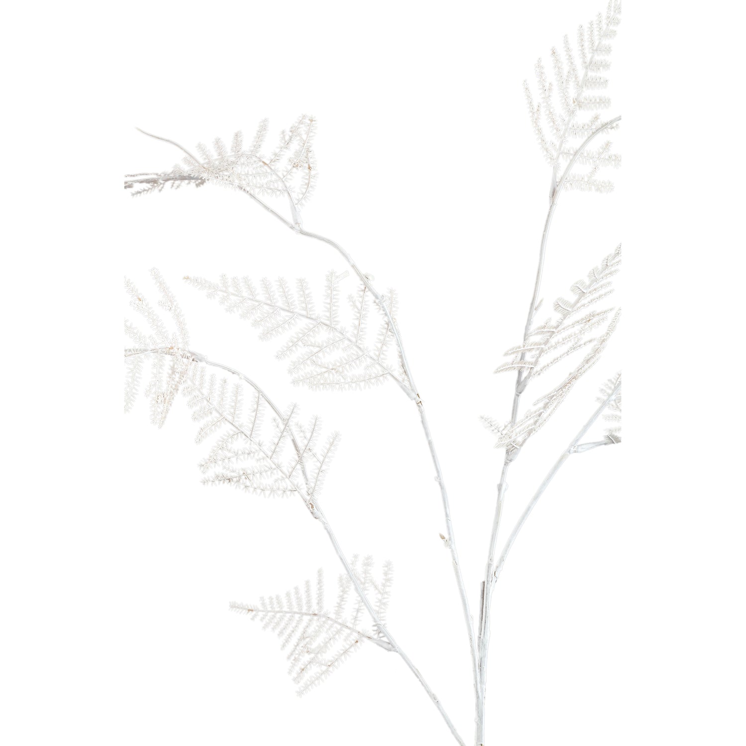 Fern Plant Roomwit Asperge Fern Spray - Set van 12 89x45x23 cm