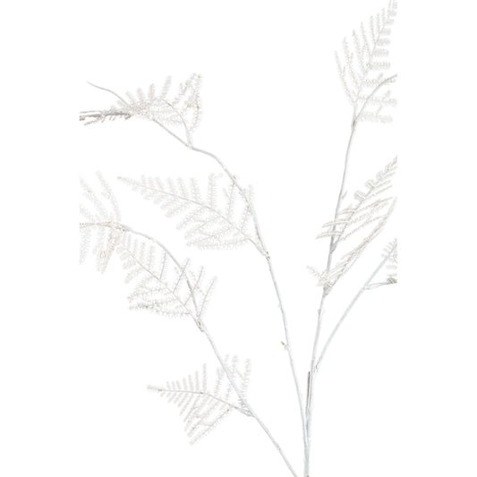 Fern Plant Roomwit Asperge Fern Spray - Set van 12 89x45x23 cm