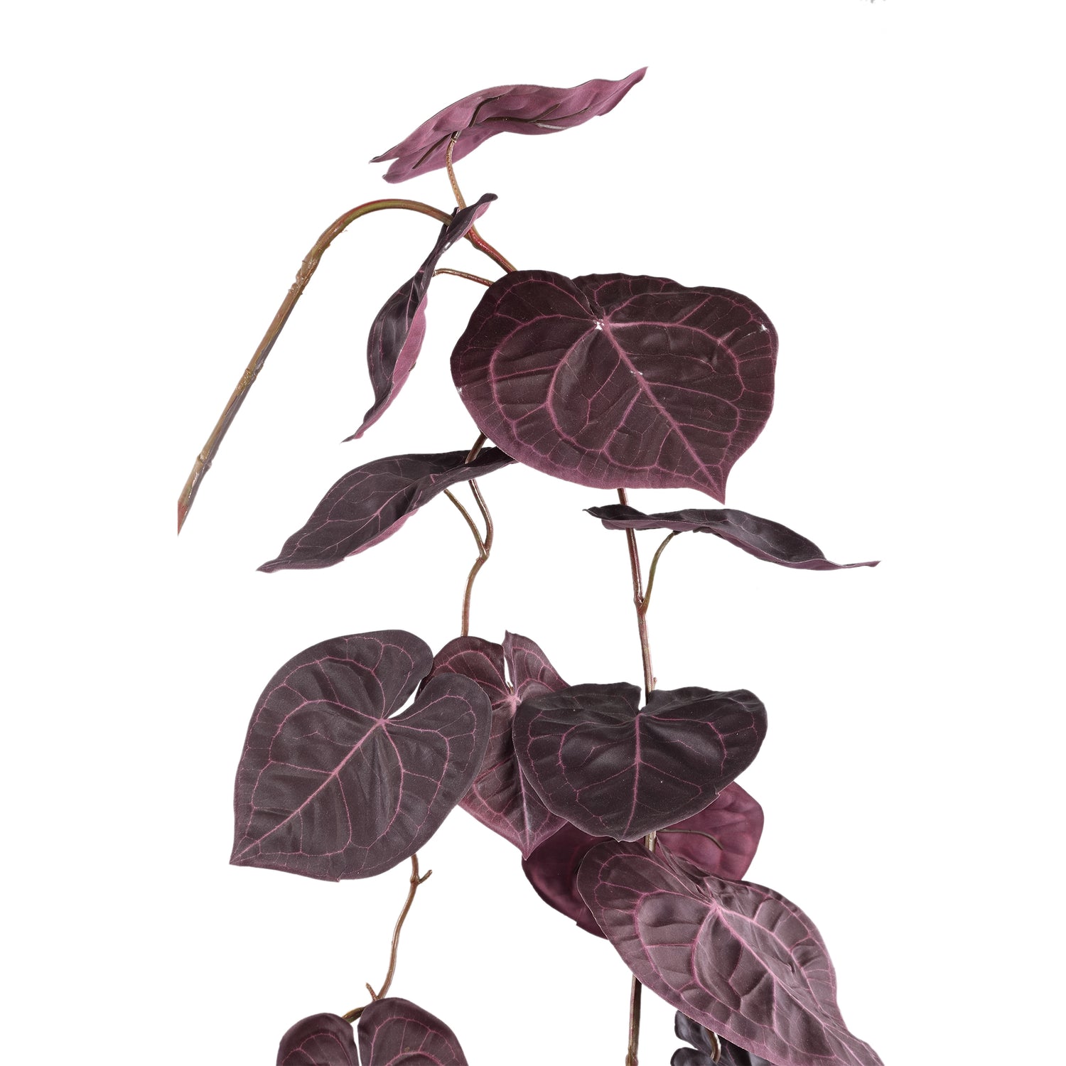 Leaves Plant Paarse Anthurium Hangend Spray Set van 6 Stuks - 6 Sets 170x108x26 cm