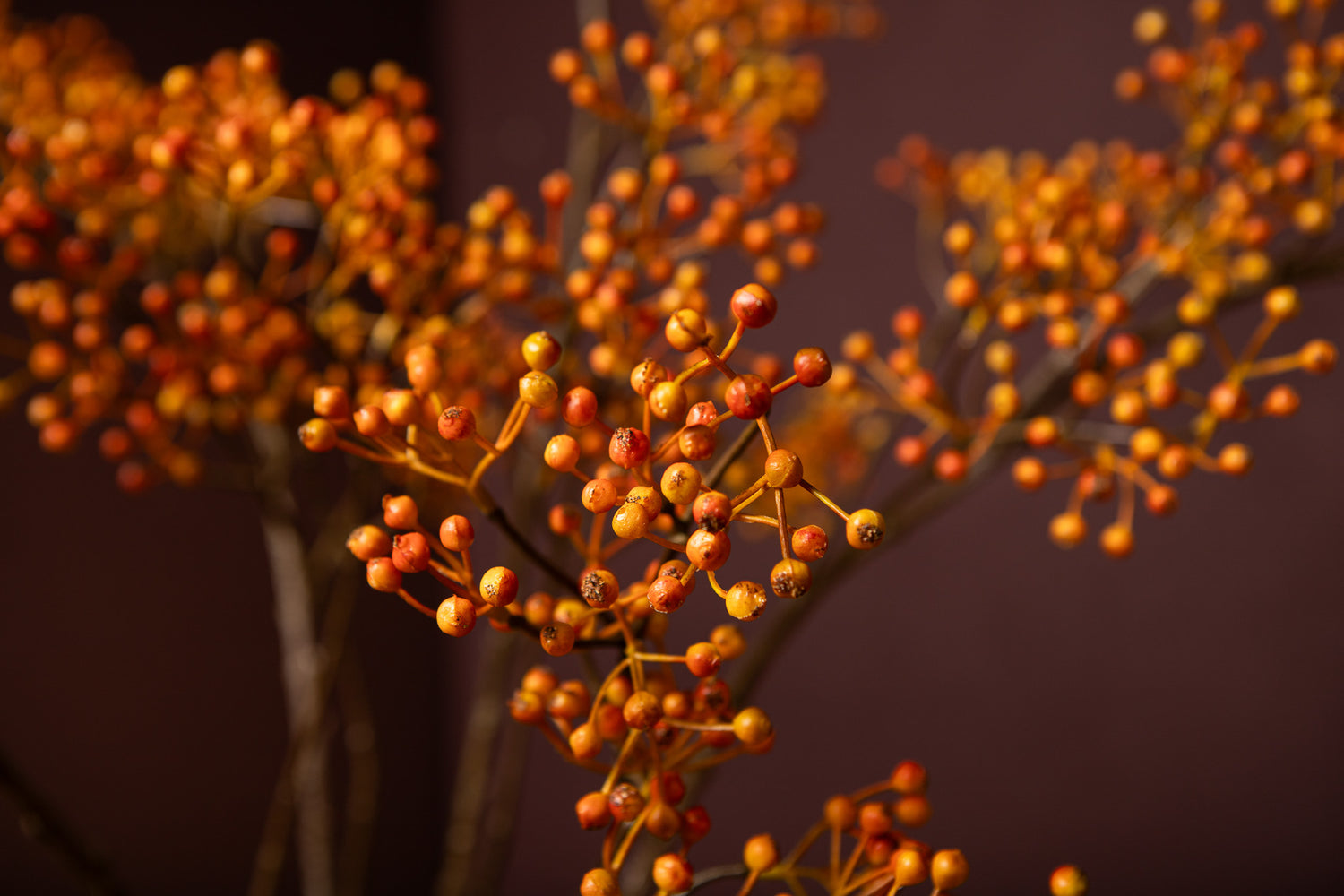 Berry Plant Rozebottel Oranje Hangend Berry Set van 6 Stuks 103x55x54 cm