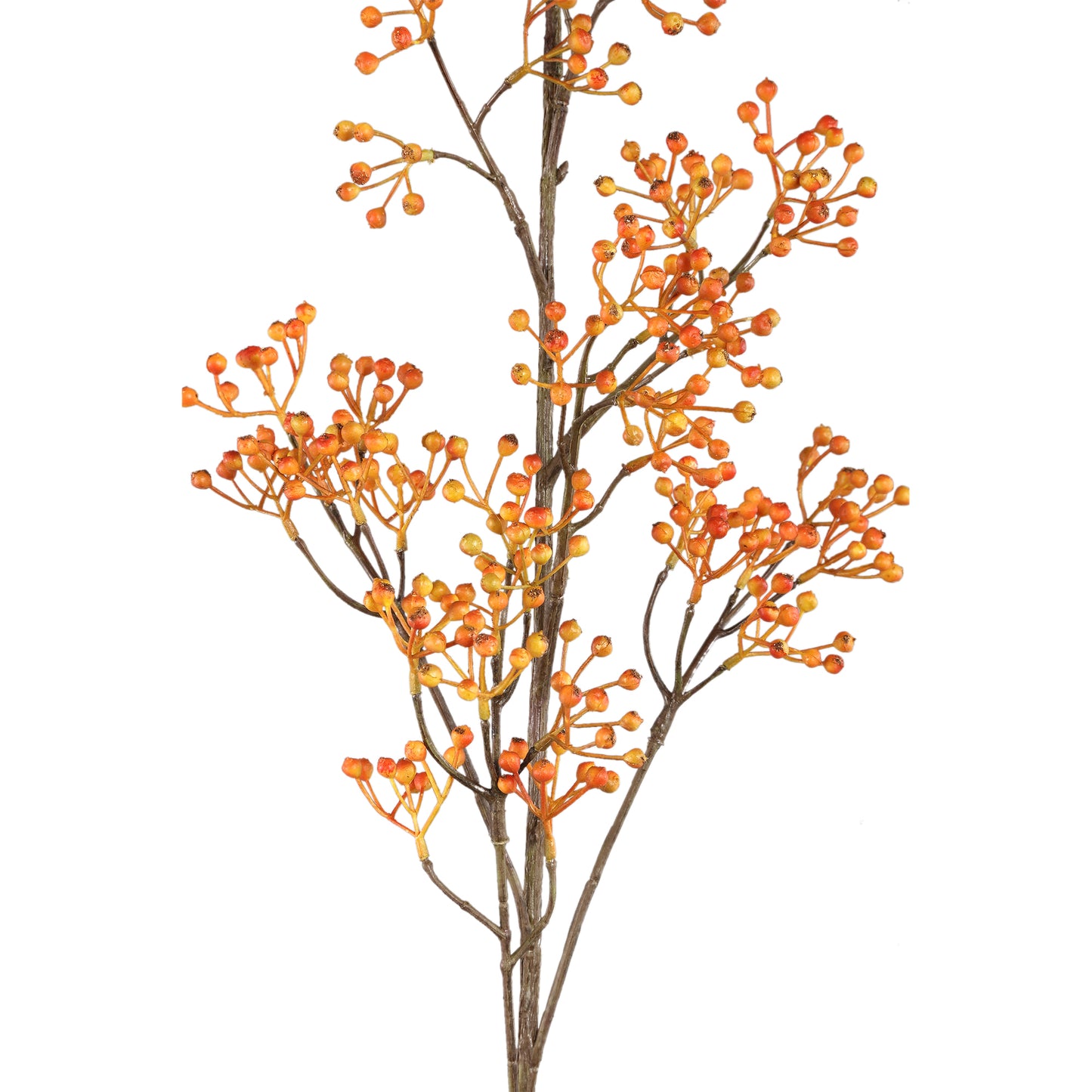 Berry Plant Rozebottel Oranje Hangend Berry Set van 6 Stuks - 6 Sets 103x55x54 cm