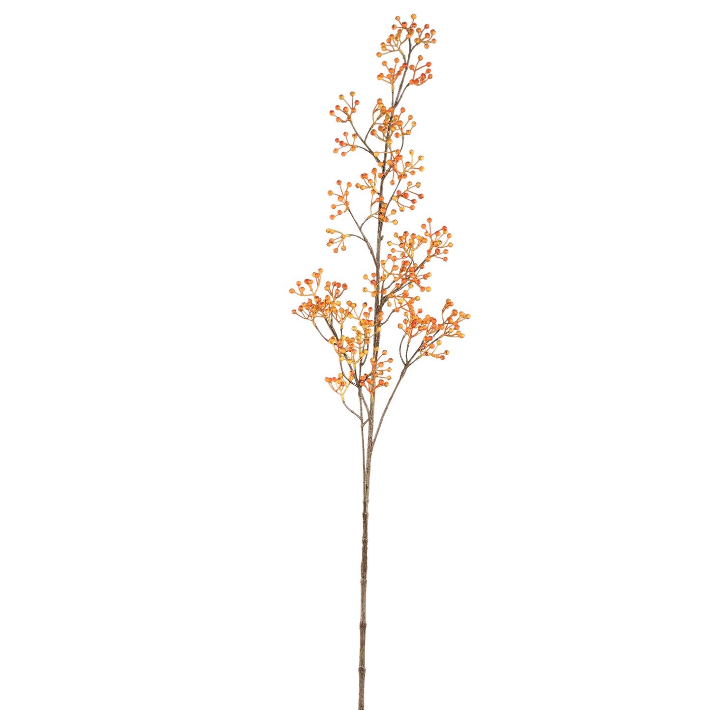 Berry Plant Rozebottel Oranje Hangend Berry Set van 6 Stuks - 6 Sets 103x55x54 cm