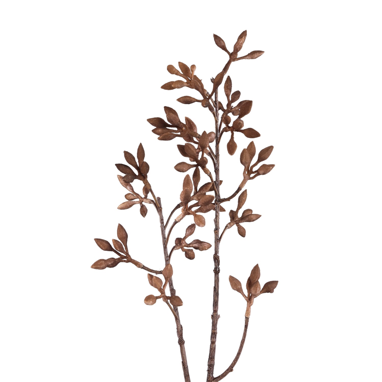 Twijg Plant Bourgondië Firmiana Simplex Spray - Set van 12 Stuks - 12 Sets 79x33x18 cm