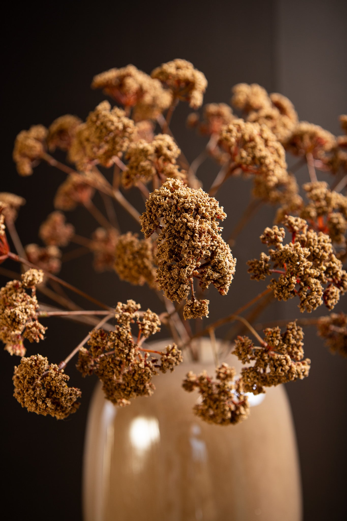 Twig Plant Beige Fennel Flower Spray - Leaves Plant Serie - Set van 12 58x27x22 cm
