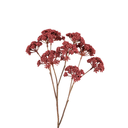 Twig Plant Bourgondisch Fennel Flower Spray - Set van 12 58x27x22 cm