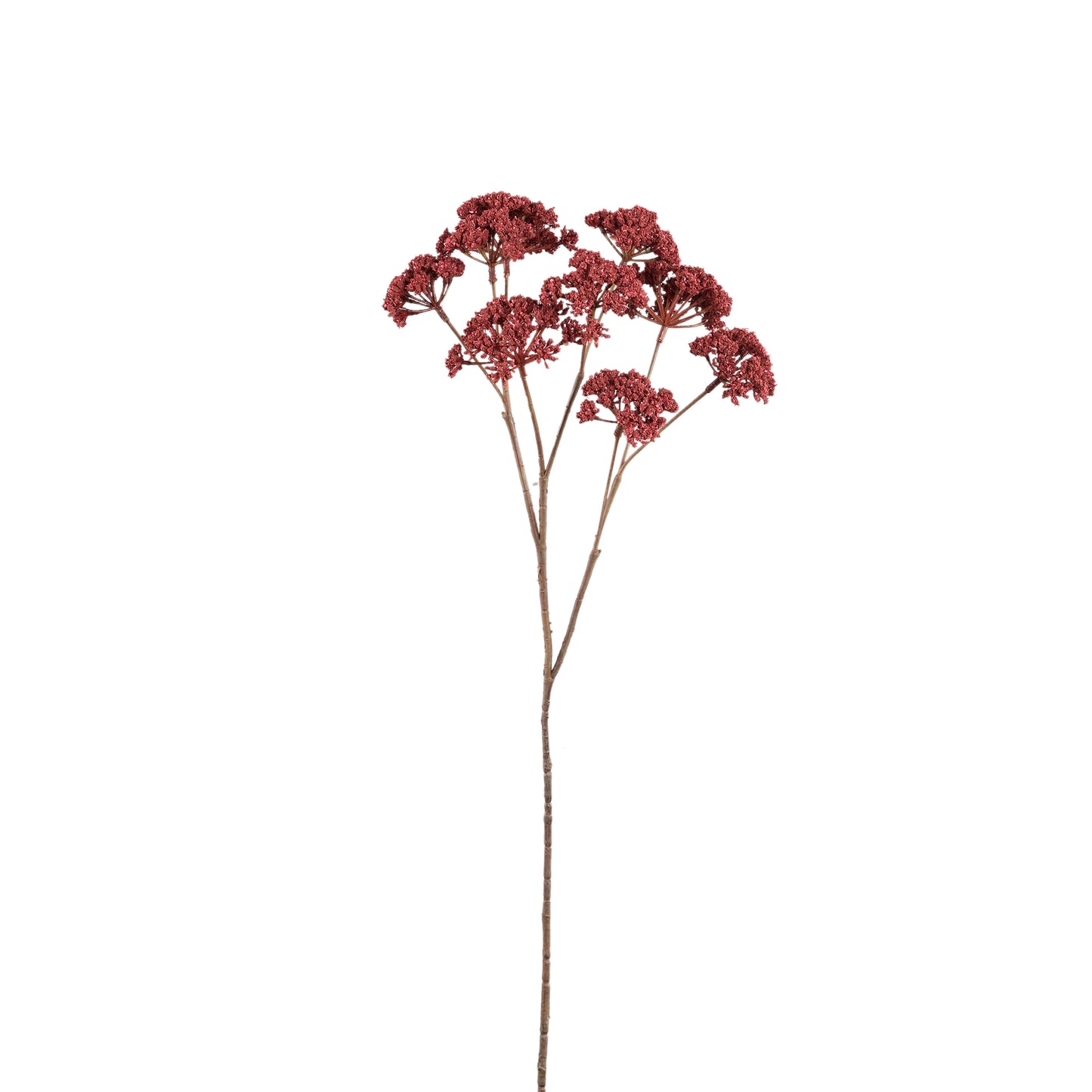 Twig Plant Bourgondisch Fennel Flower Spray - Set van 12 58x27x22 cm