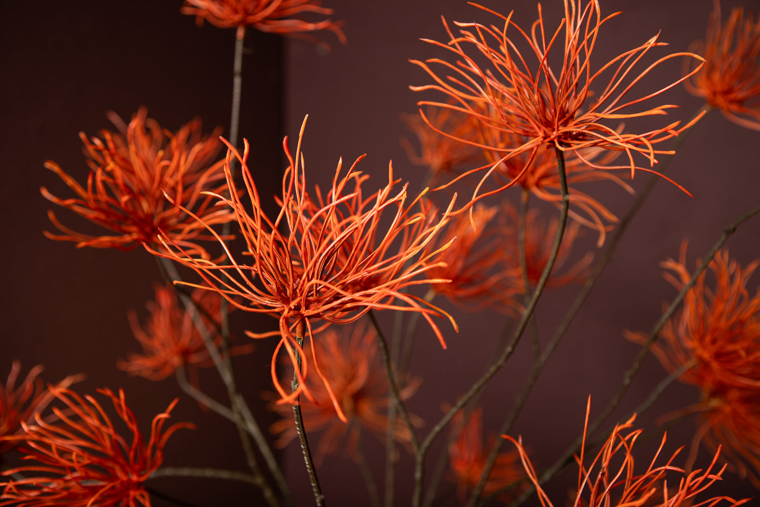 Twig Plant Oranje Grevillea Bloemenspray - Set van 12 112x60x39 cm