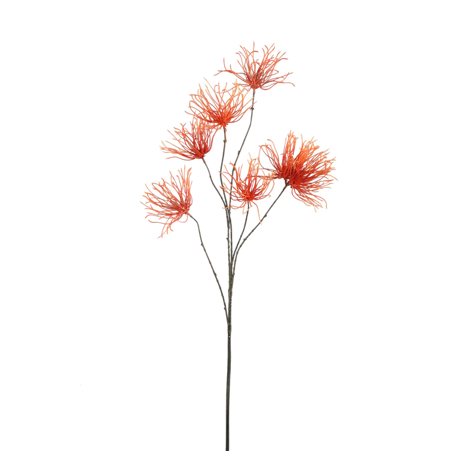 Twig Plant Oranje Grevillea Bloemenspray - Set van 12 112x60x39 cm