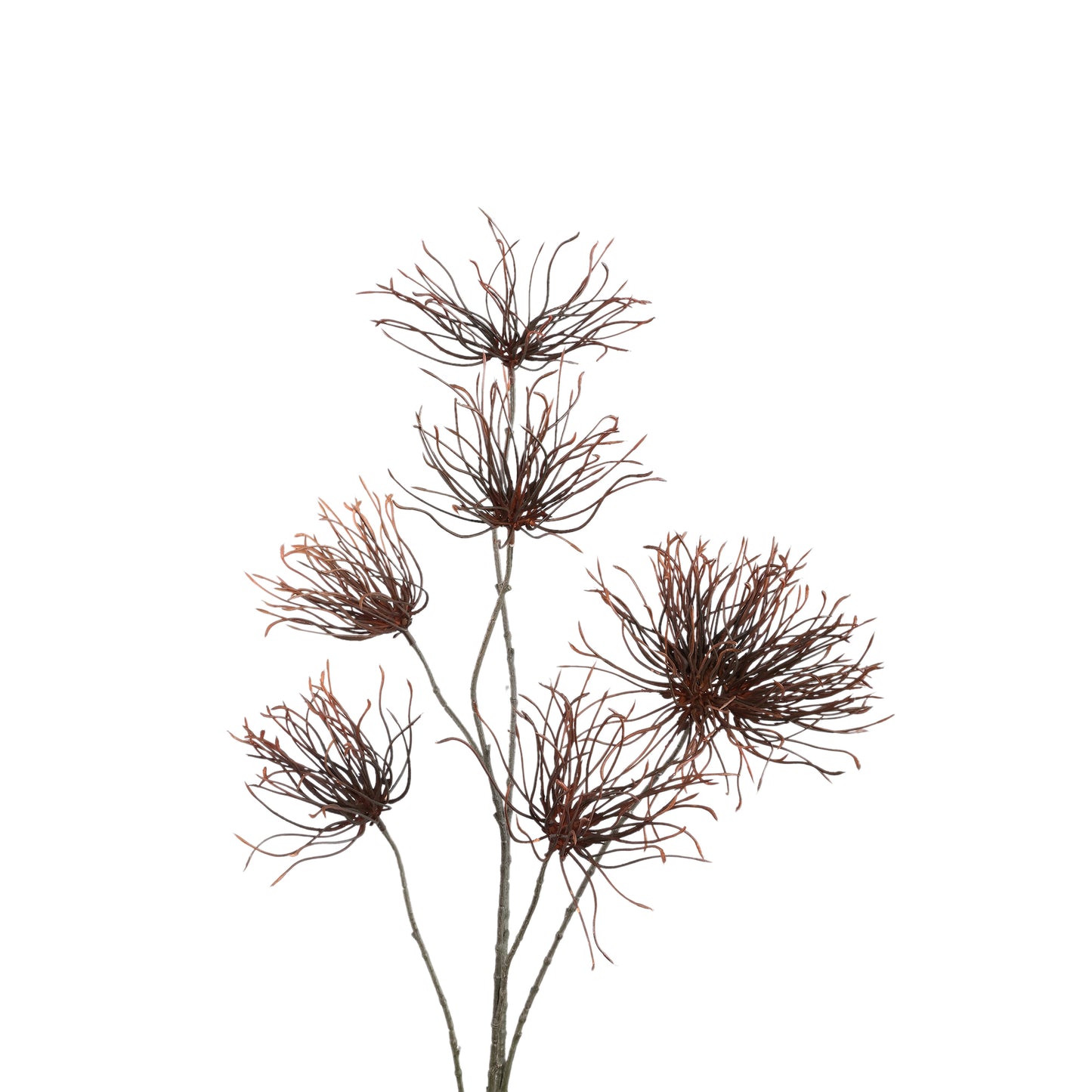 Twig Plant Bruine Grevillea Bloementak - Set van 12 112x60x39 cm
