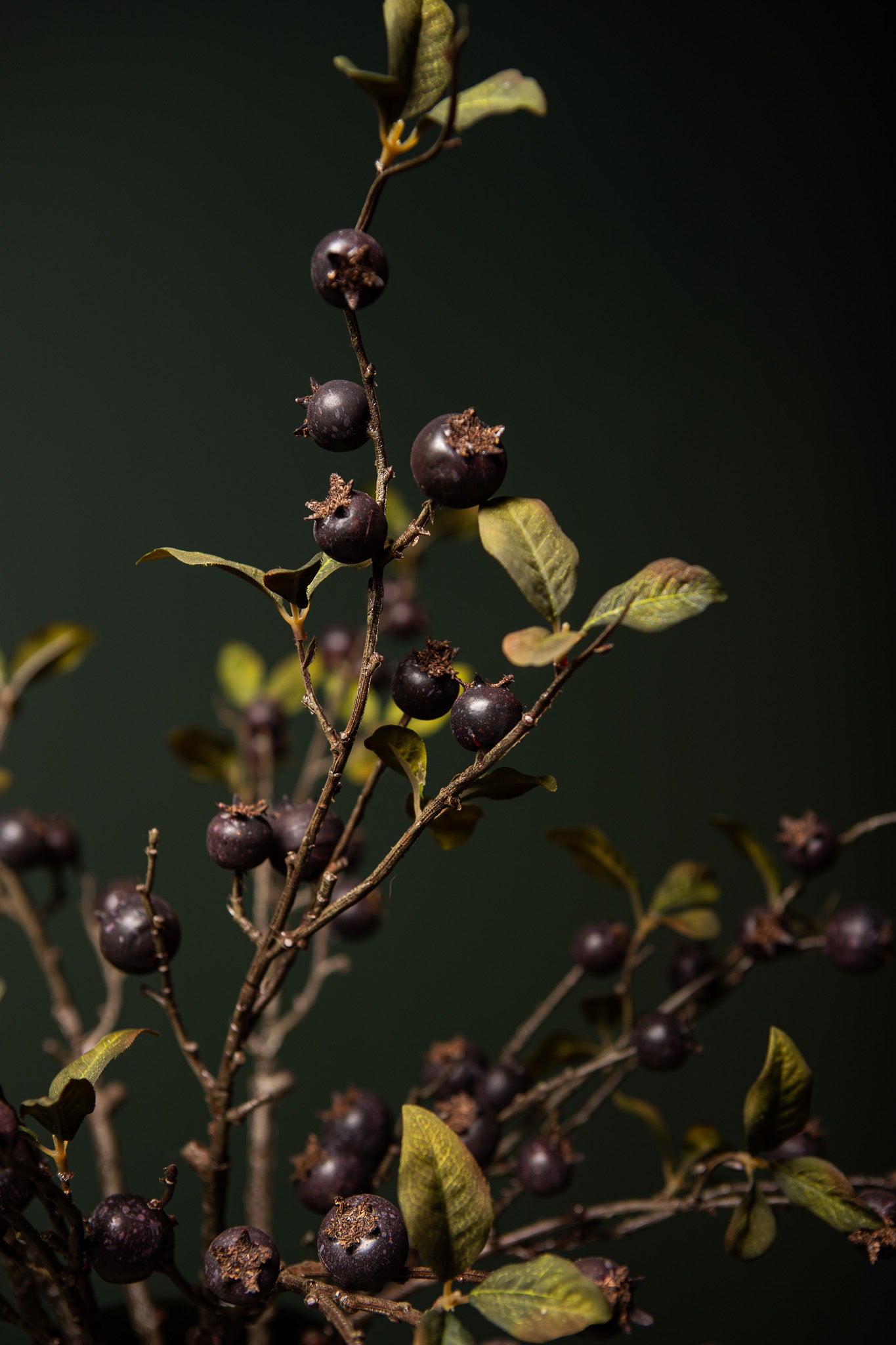 Berry Plant Blauwe Meidoornbes Spray - Set van 12 70x33x13 cm