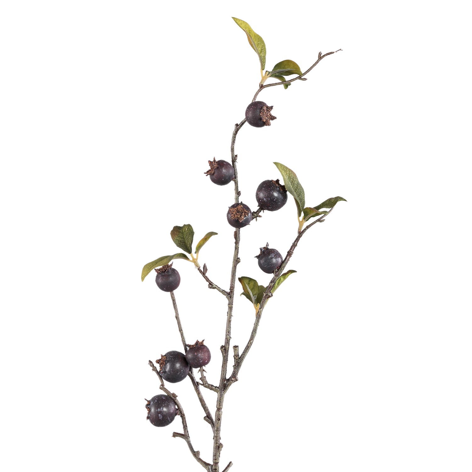 Berry Plant Blauwe Meidoornbes Spray - Set van 12 70x33x13 cm