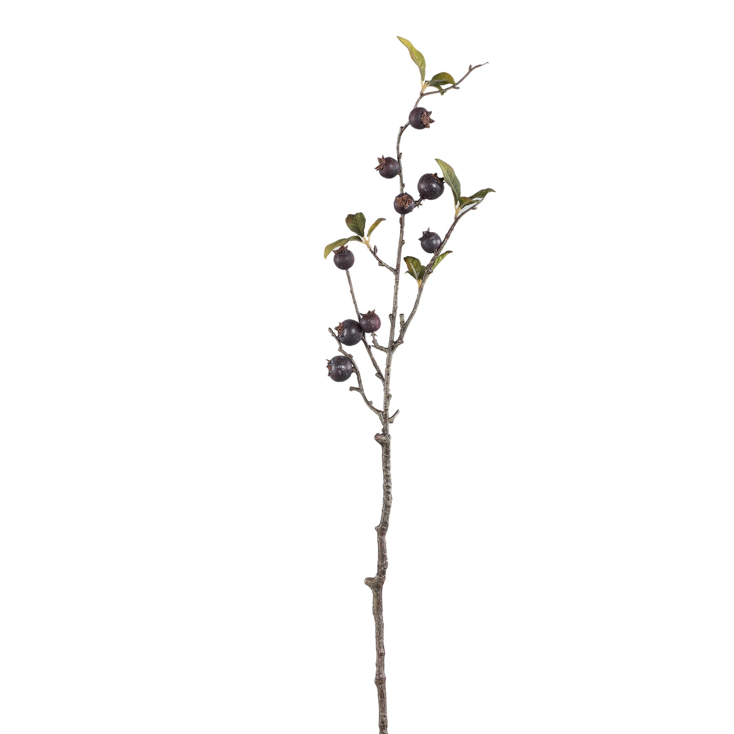 Berry Plant Blauwe Meidoornbes Spray - Set van 12 70x33x13 cm