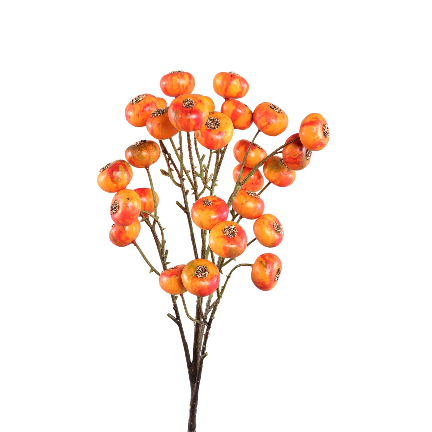 Berry Plant Oranje Bessentak - Set van 12 70x22x17 cm