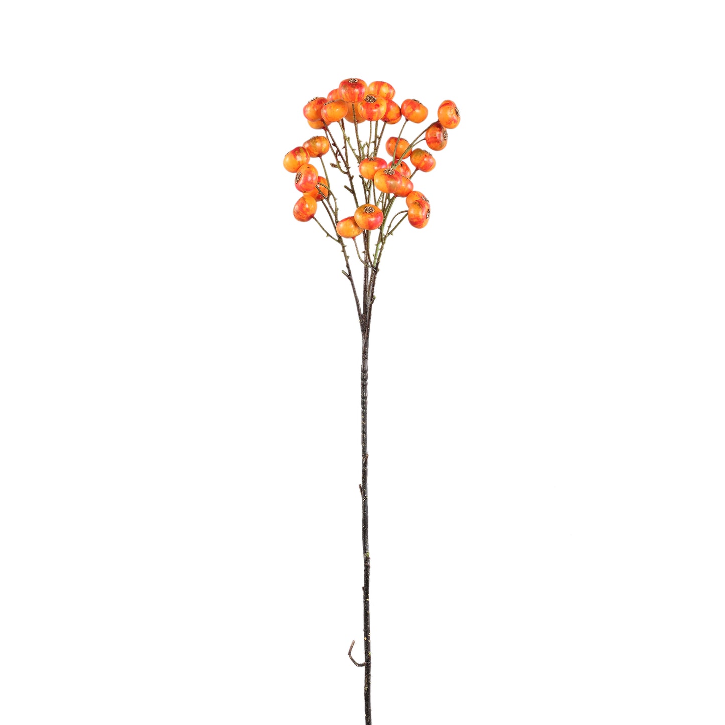 Berry Plant Oranje Bessentak - Set van 12 70x22x17 cm