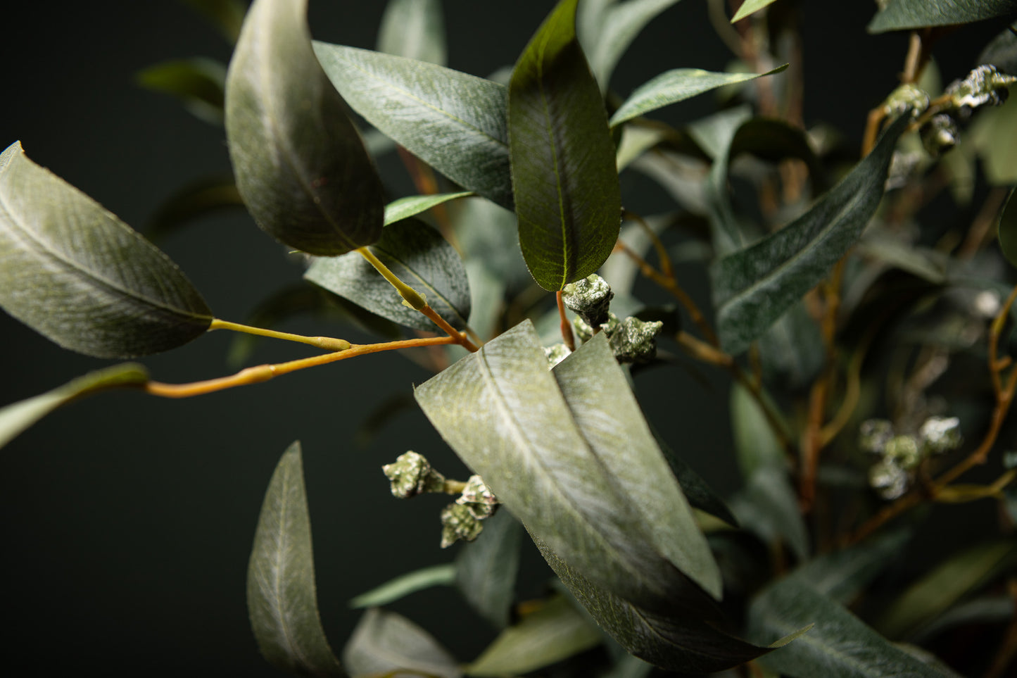 Leaves Plant Groen Eucalyptus Spray Met Zaden Lang - Set van 12 99x68x36 cm