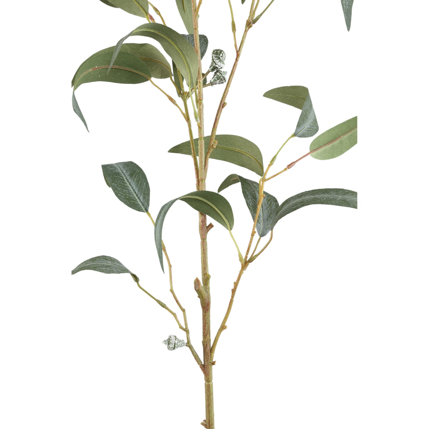 Leaves Plant Groen Eucalyptus Spray Met Zaden Lang - Set van 12 99x68x36 cm