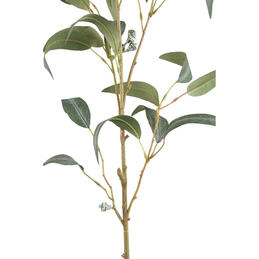 Leaves Plant Groen Eucalyptus Spray Met Zaden Lang - Set van 12 99x68x36 cm