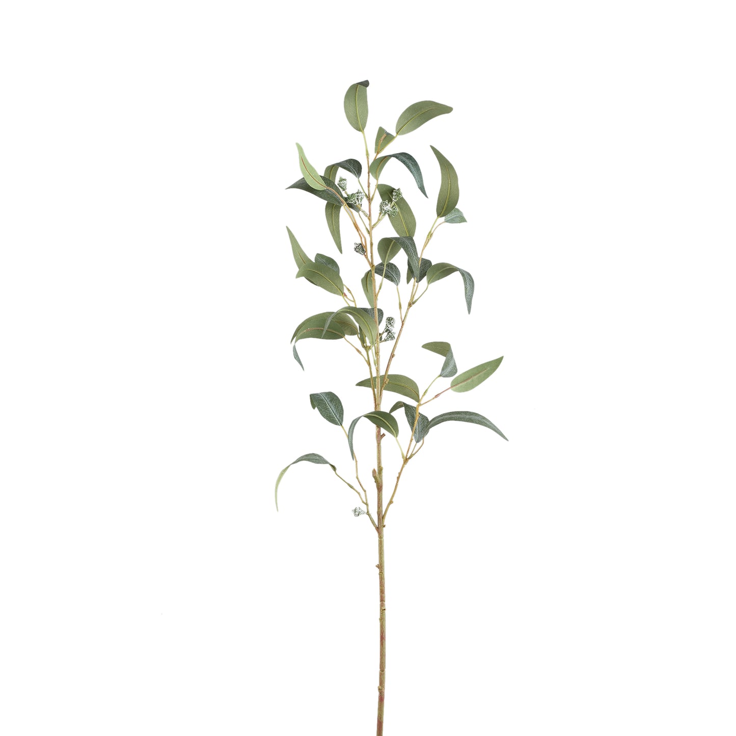 Leaves Plant Groen Eucalyptus Spray Met Zaden Lang - Set van 12 99x68x36 cm