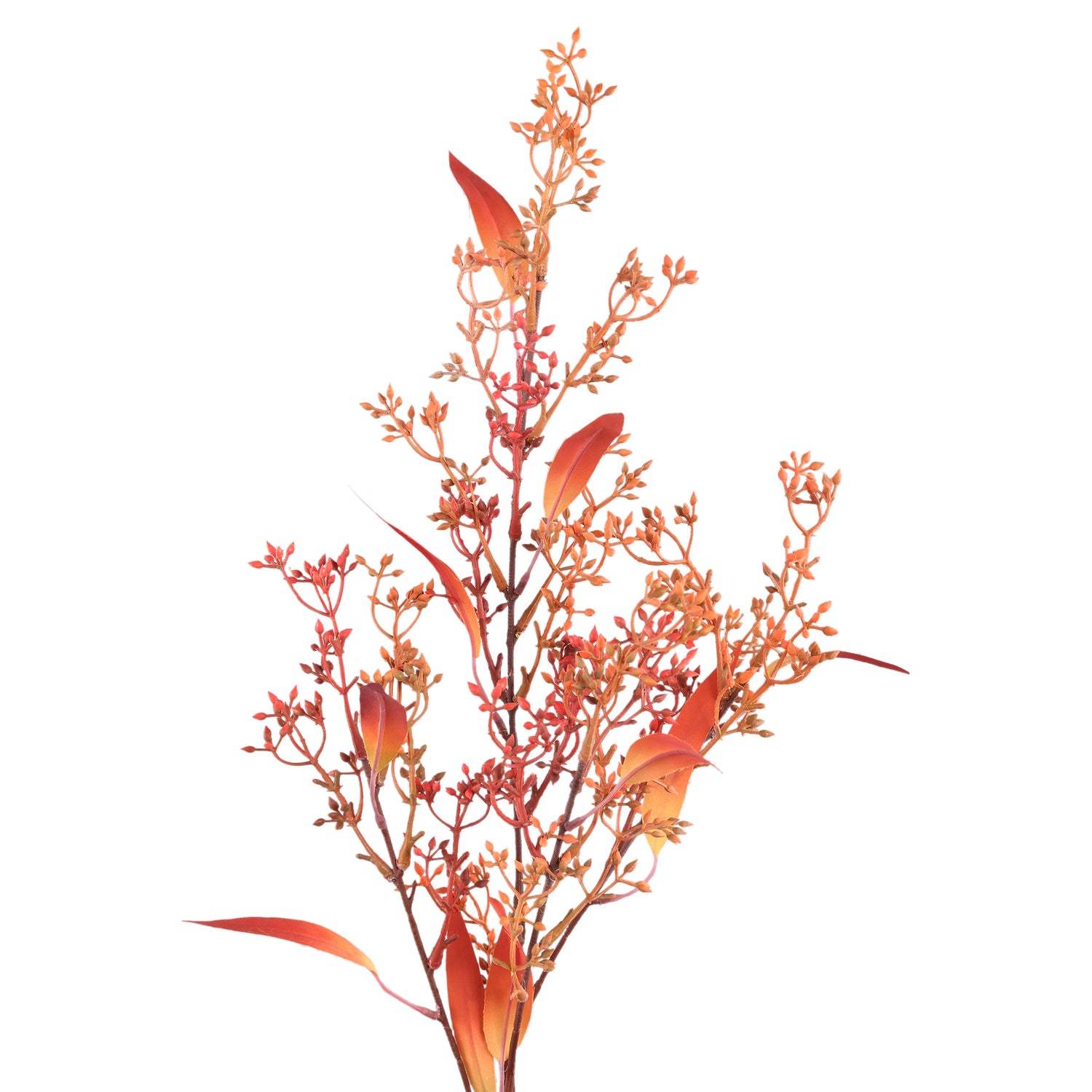 Leaves Plant Oranje Eucalyptus Spray Met Zaden - Set van 12 Stuks - 12 Sets 84x45x38 cm