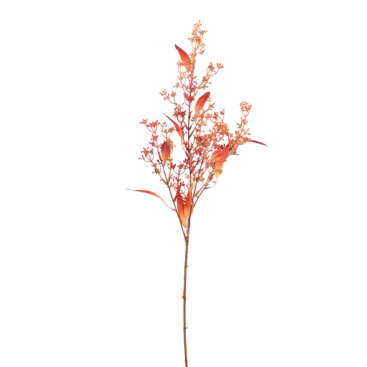Leaves Plant Oranje Eucalyptus Spray Met Zaden - Set van 12 Stuks - 12 Sets 84x45x38 cm