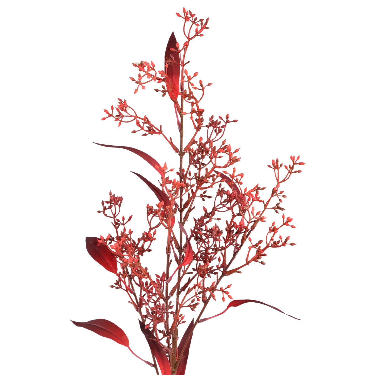 Leaves Plant Bourgondische Eucalyptus Spray Met Zaden - Set van 12 84x45x38 cm