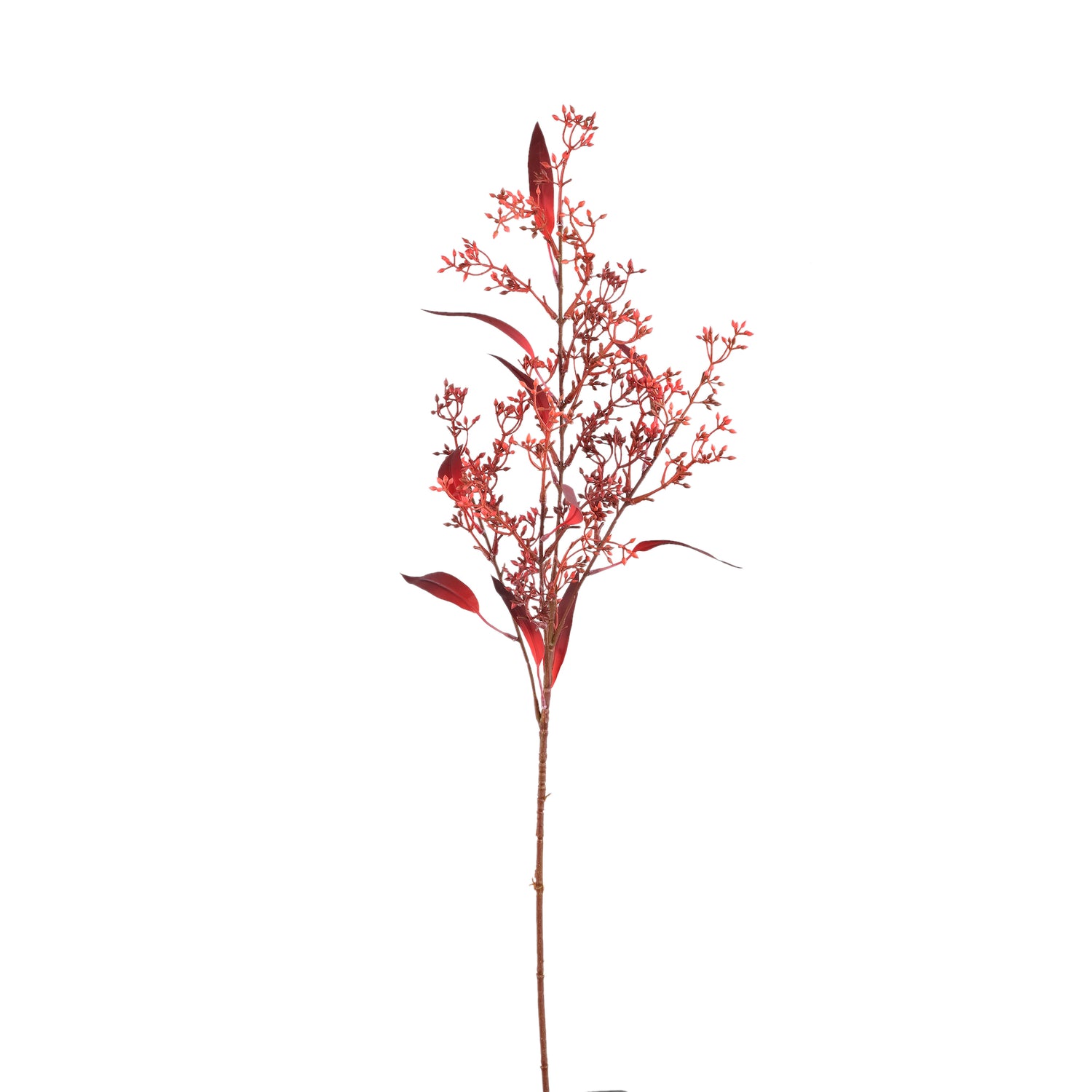 Leaves Plant Bourgondische Eucalyptus Spray Met Zaden - Set van 12 84x45x38 cm