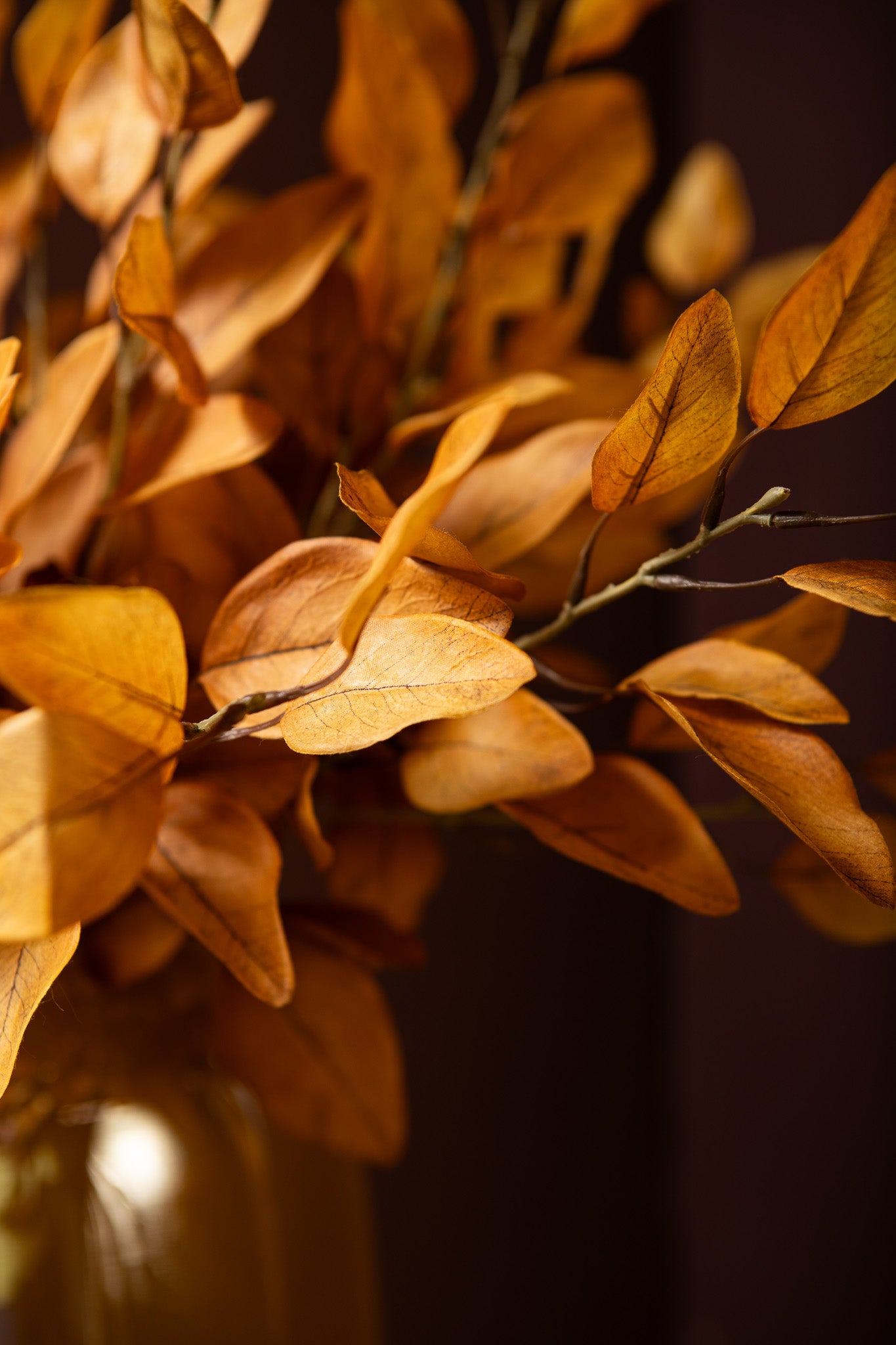 Leaves Plant Lichtbruin Eucalyptus Spray Set van 12 Stuks 78x44x30 cm