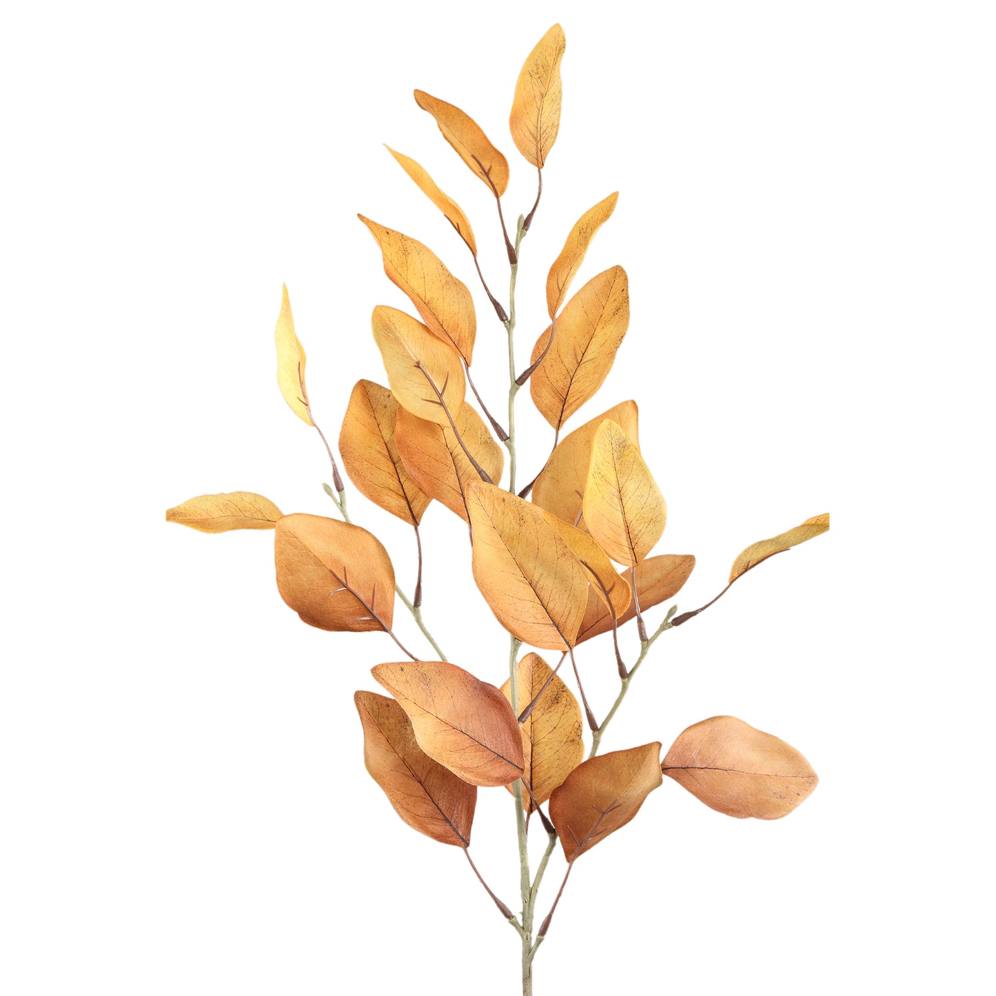 Leaves Plant Lichtbruin Eucalyptus Spray Set van 12 Stuks - 12 Sets 78x44x30 cm
