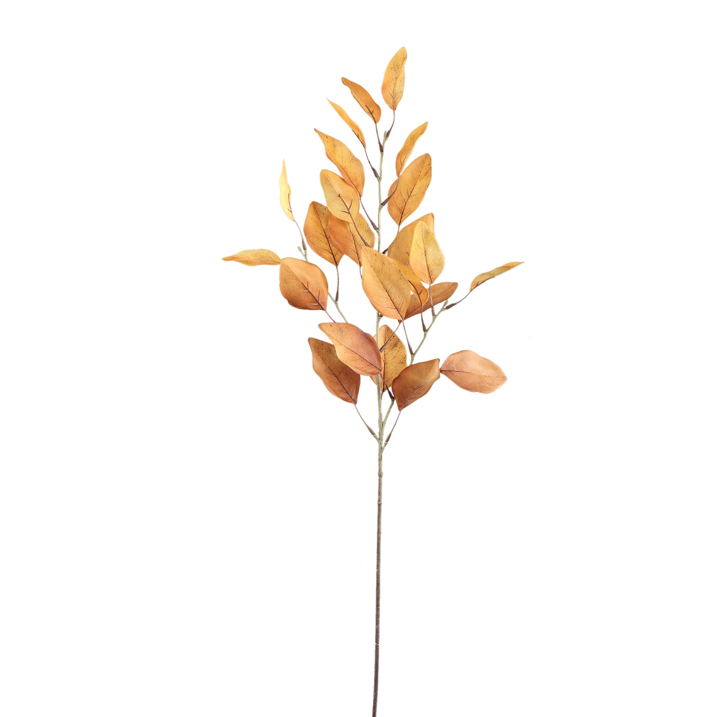 Leaves Plant Lichtbruin Eucalyptus Spray Set van 12 Stuks - 12 Sets 78x44x30 cm