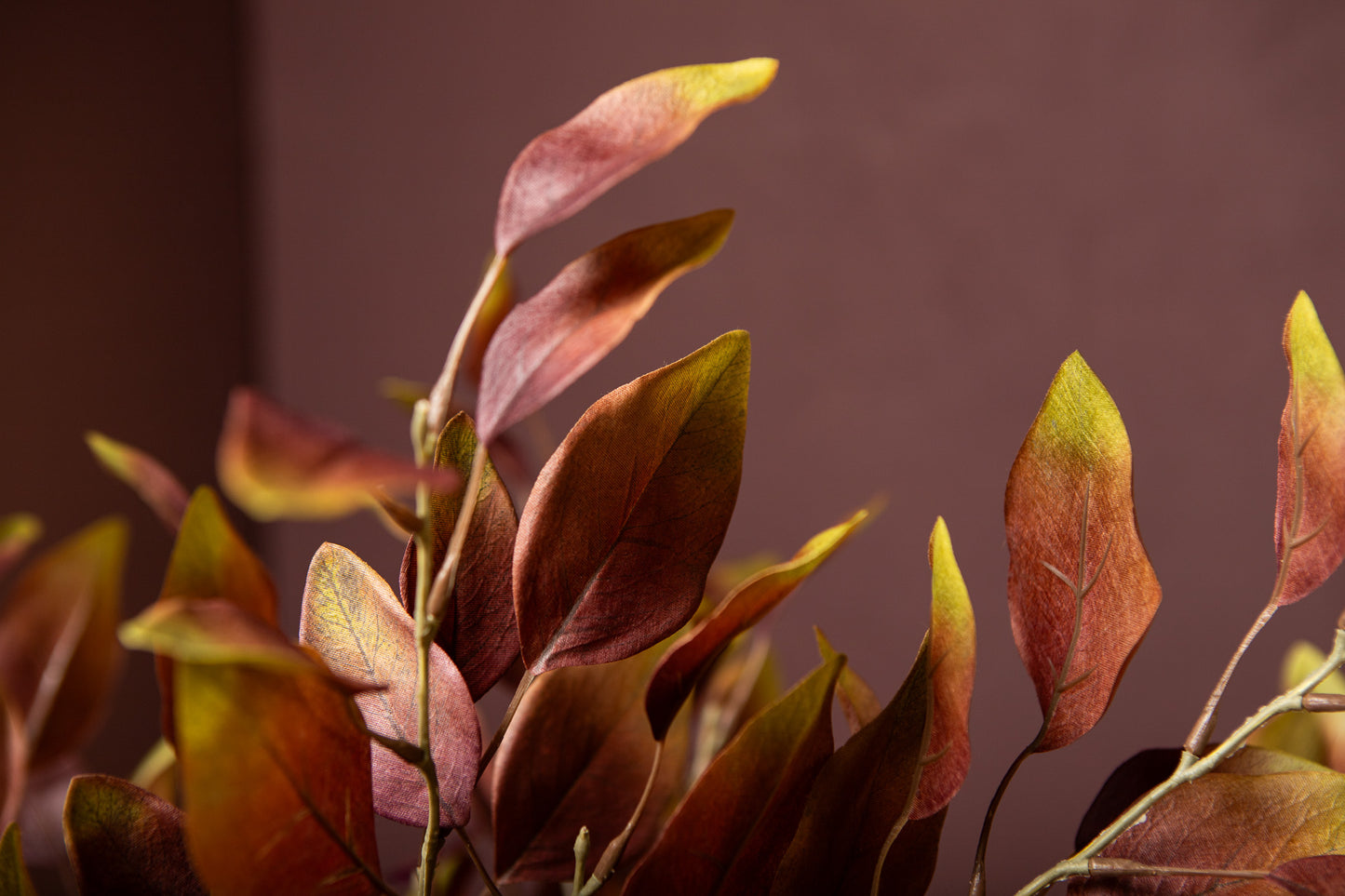 Leaves Plant Bourgondisch Groen Eucalyptus Spray - Set van 12 78x44x30 cm