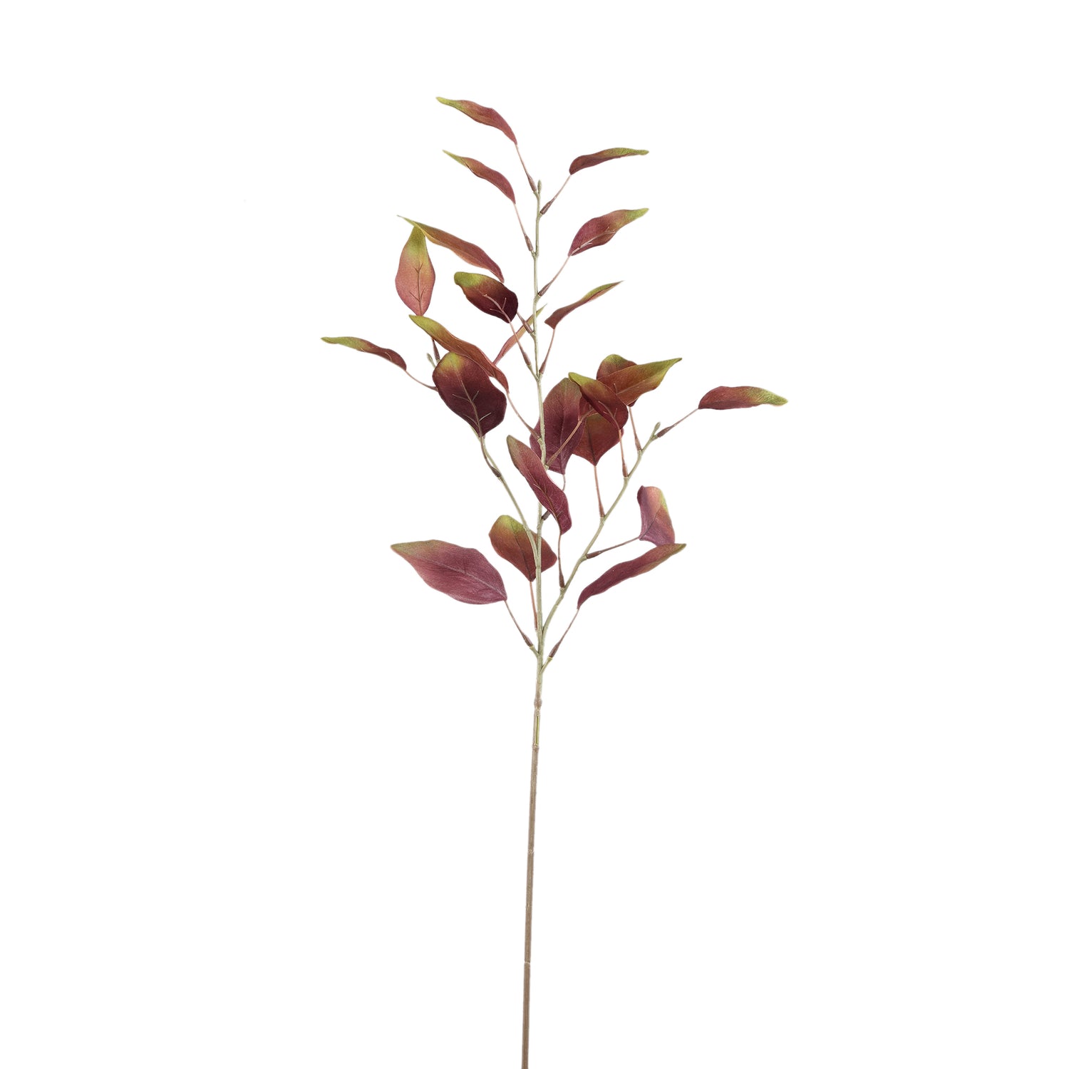Leaves Plant Bourgondisch Groen Eucalyptus Spray - Set van 12 78x44x30 cm
