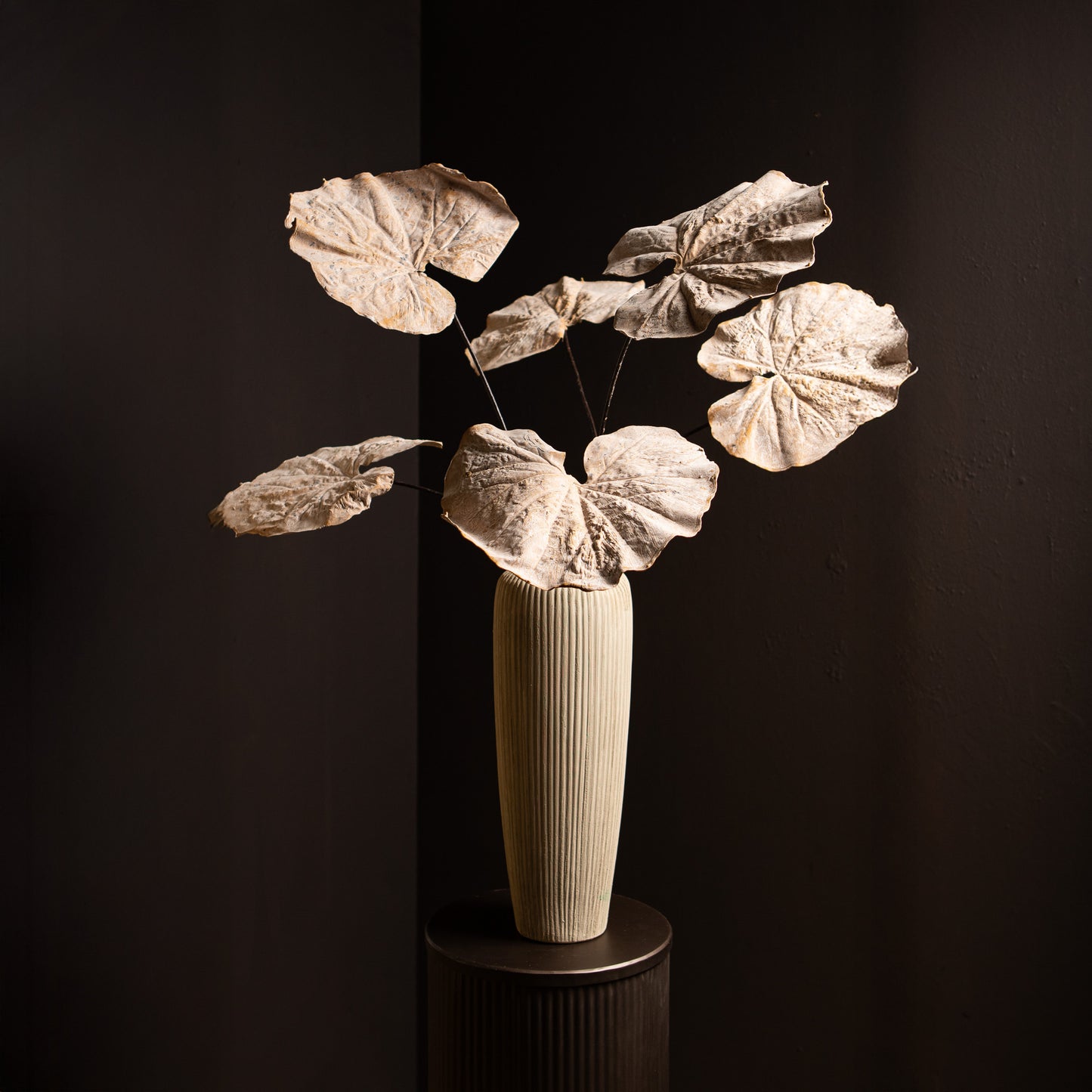 Leaves Plant Cream Boterblad Spray Set van 6 Stuks 90x62x57 cm