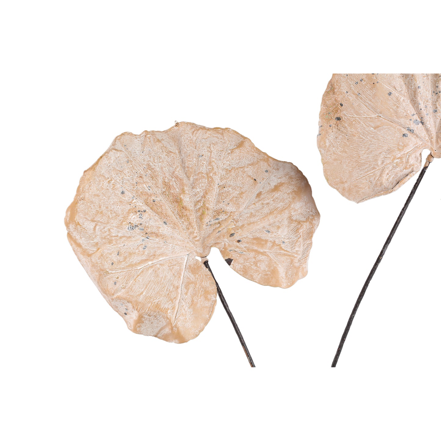 Leaves Plant Cream Boterblad Spray Set van 6 Stuks - 6 Sets 90x62x57 cm