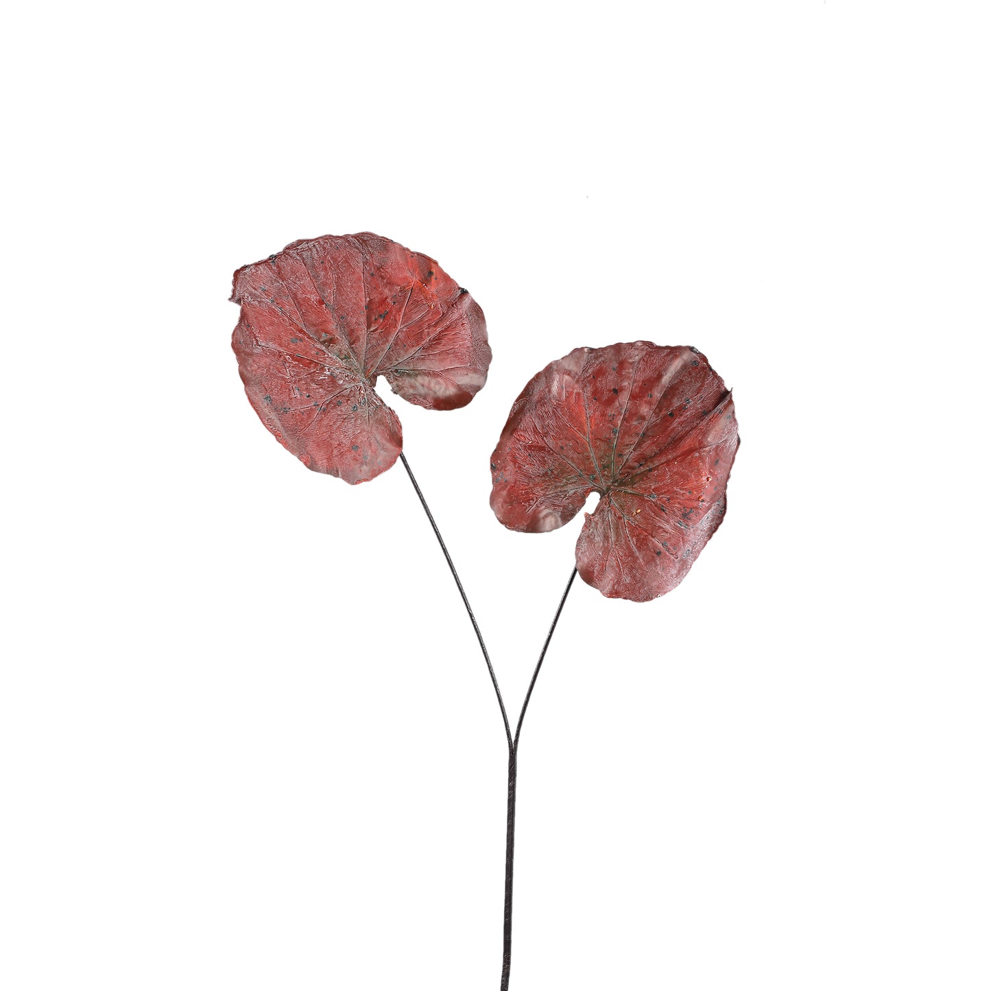 Leaves Plant Bourgondische Williamsblad Spray - Set van 6 90x62x57 cm