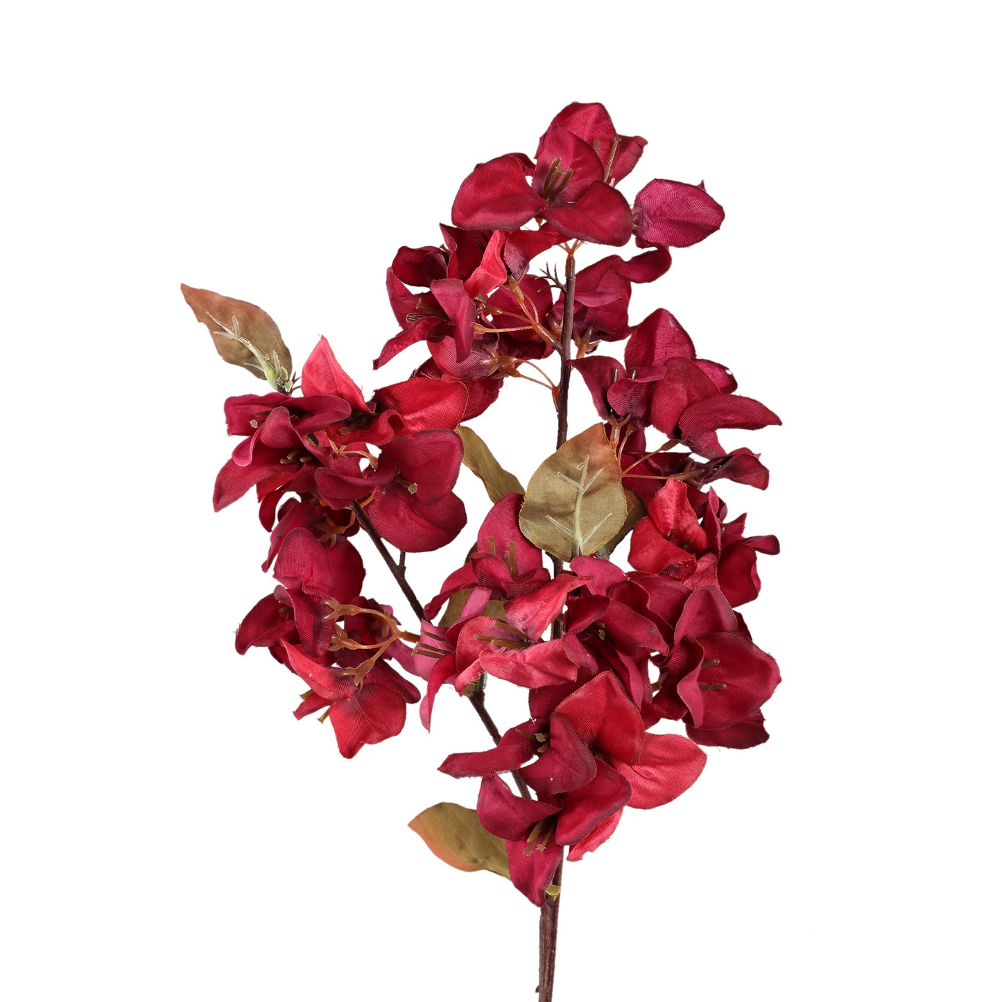 Garden Flower Rode Bougainvillea Tak - Set van 12 70x32x23 cm