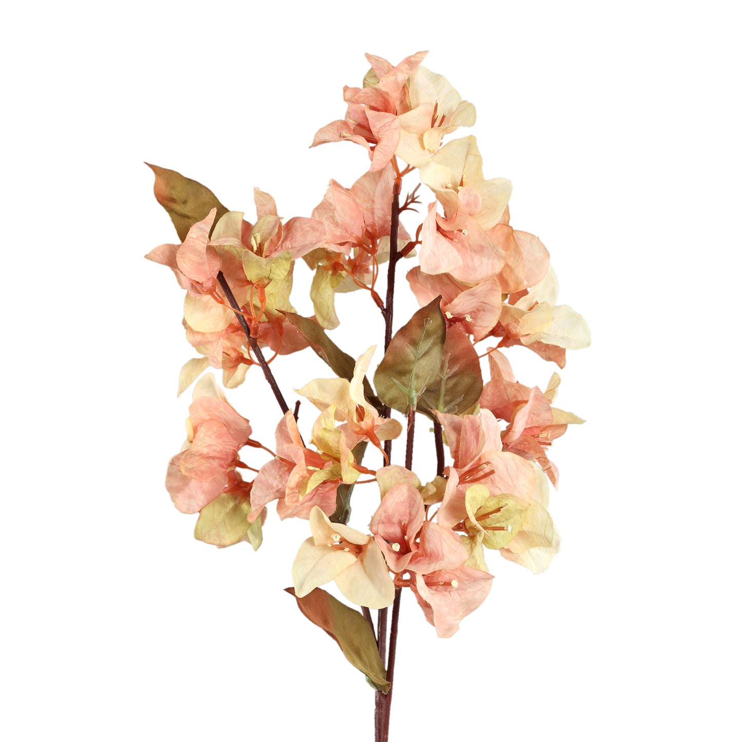 Garden Flower Cream Bougainvillea Stengel - Set van 12 70x32x23 cm