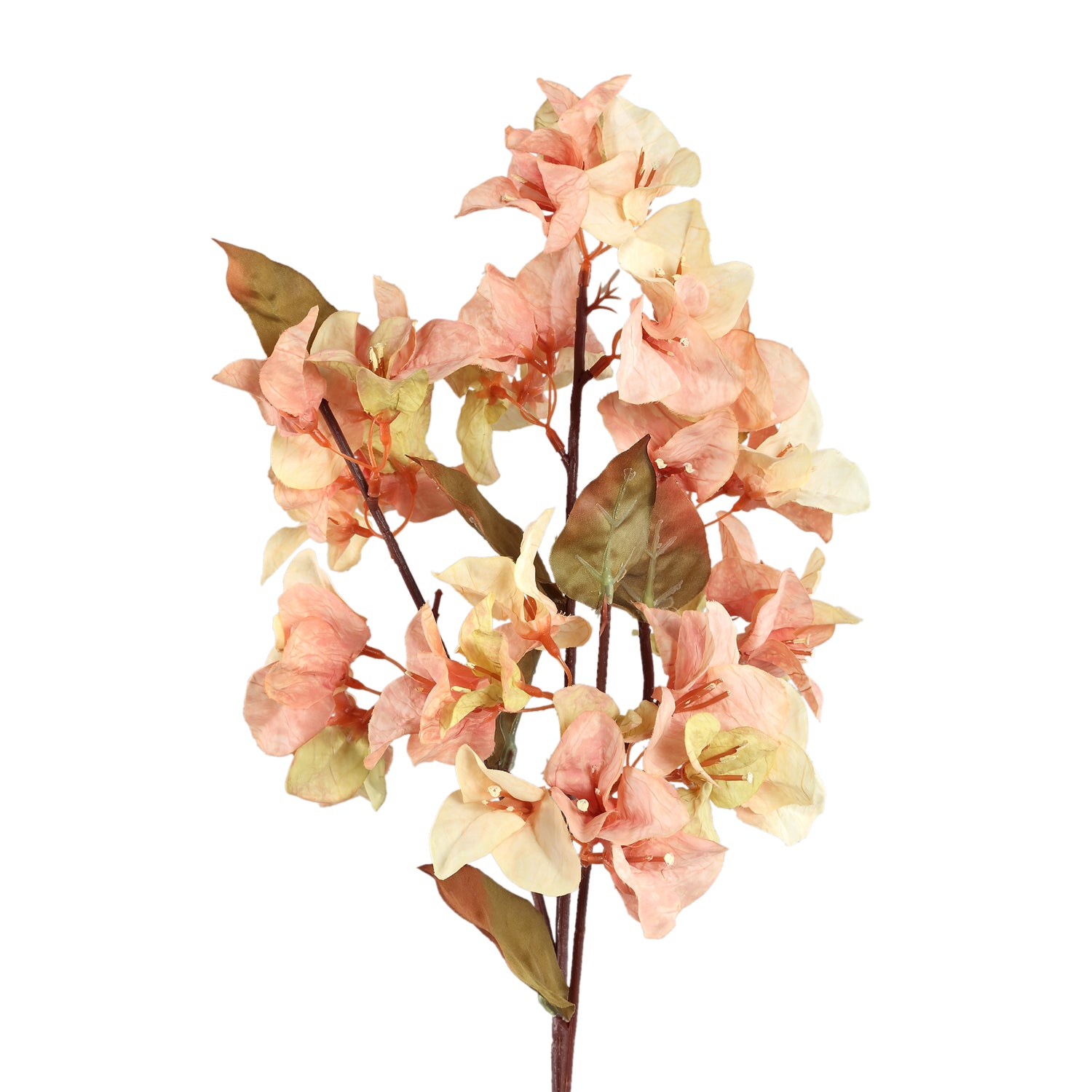 Garden Flower Cream Bougainvillea Stengel - Set van 12 70x32x23 cm