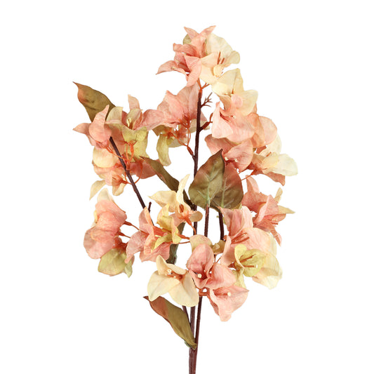 Garden Flower Cream Bougainvillea Stengel - Set van 12 70x32x23 cm