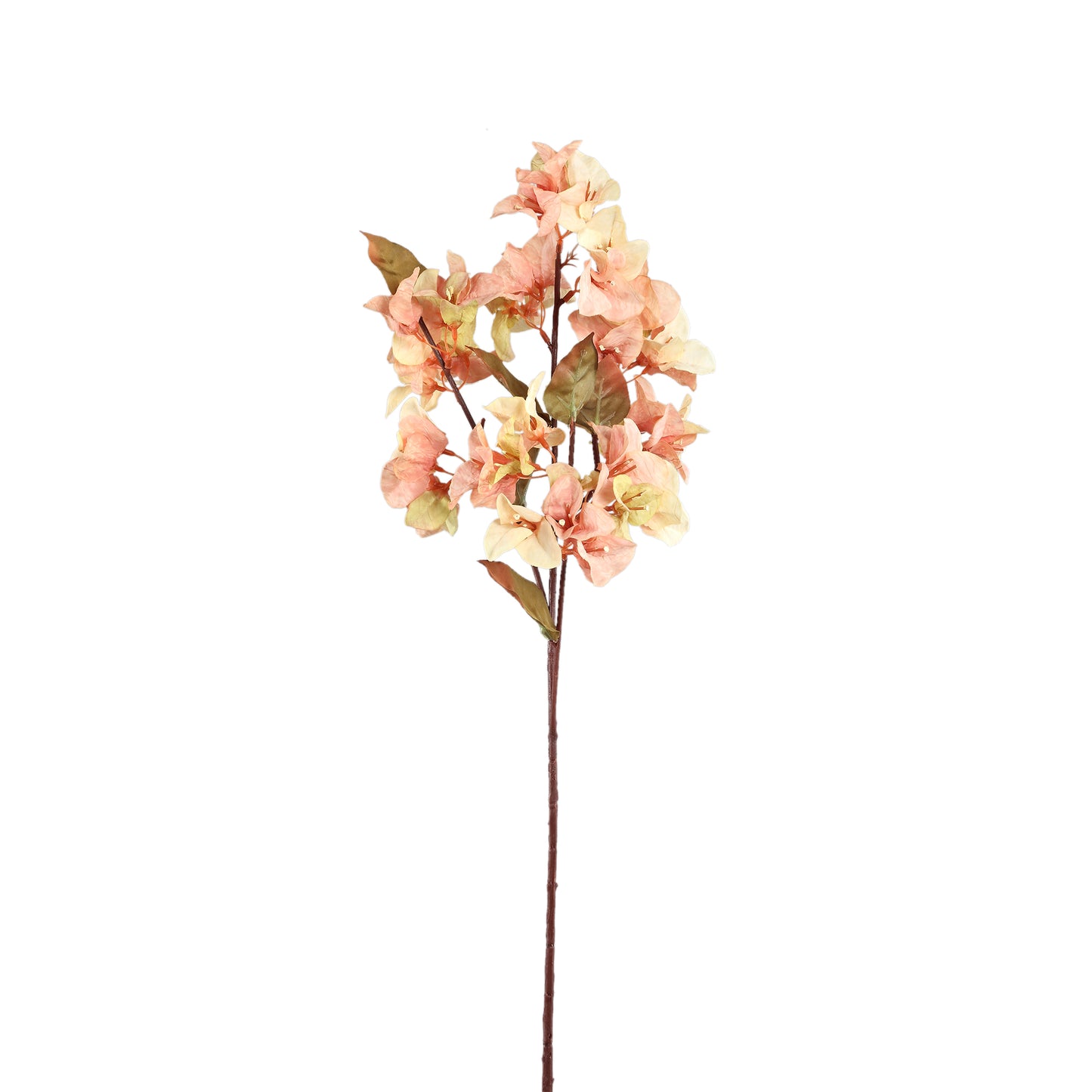 Garden Flower Cream Bougainvillea Stengel - Set van 12 70x32x23 cm